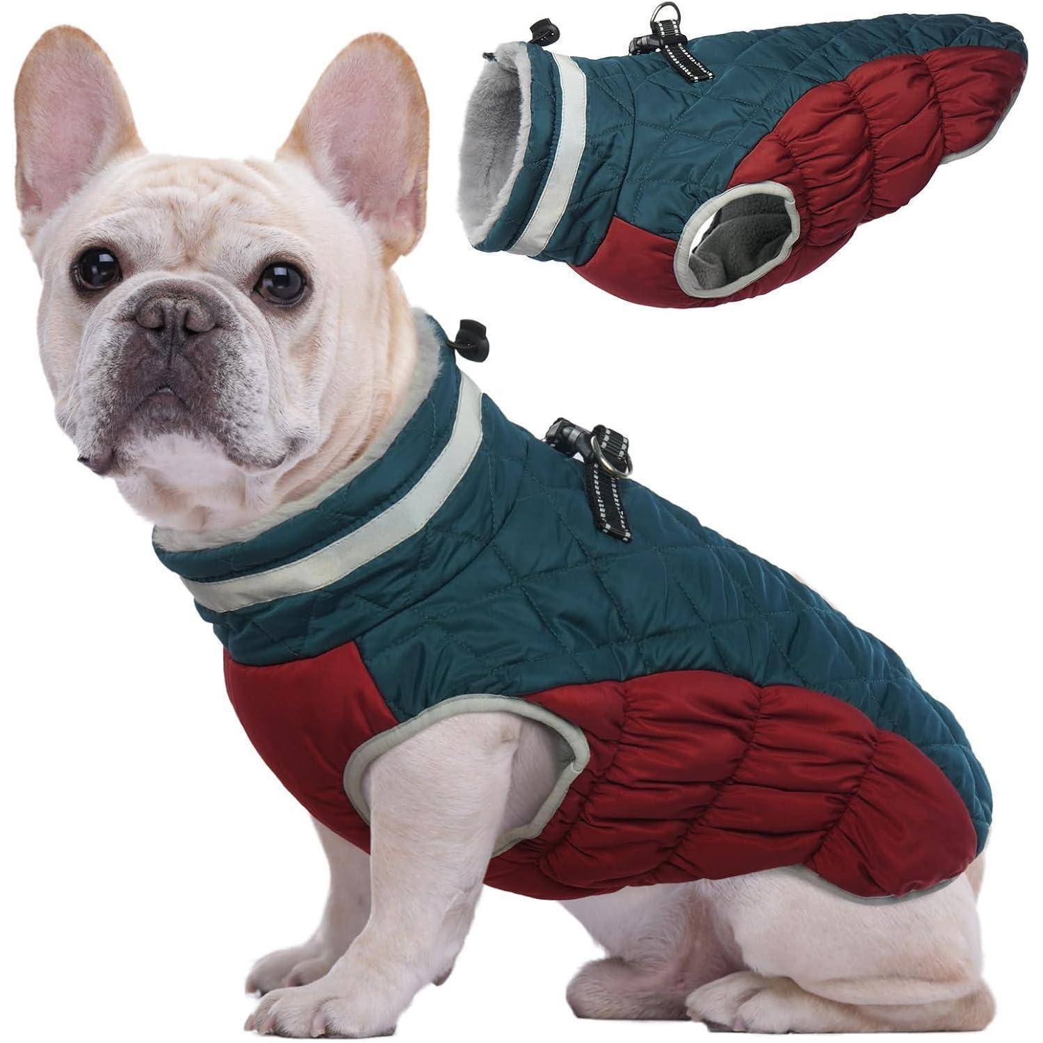 Ein Französische Bulldogge trägt eine gesteppte rot-grüne Jacke und sitzt da und präsentiert deren Passform und Design. Eine Nahaufnahme der Jacke befindet sich darüber.