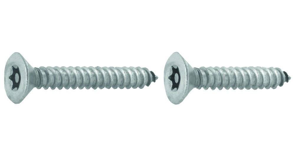 „Zwei Metallschrauben, eine vollständig sichtbar und die andere mit ihrem Kopf zu sehen, vor einem einfachen Hintergrund.