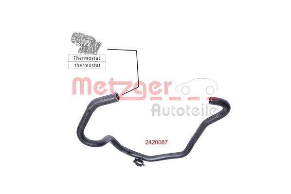 Metzger Autoteile Thermostatschlauch mit der Identifikationsnummer 2420087, der den Anschlusspunkt zum Thermostat in einer Autodiagrammdarstellung zeigt.