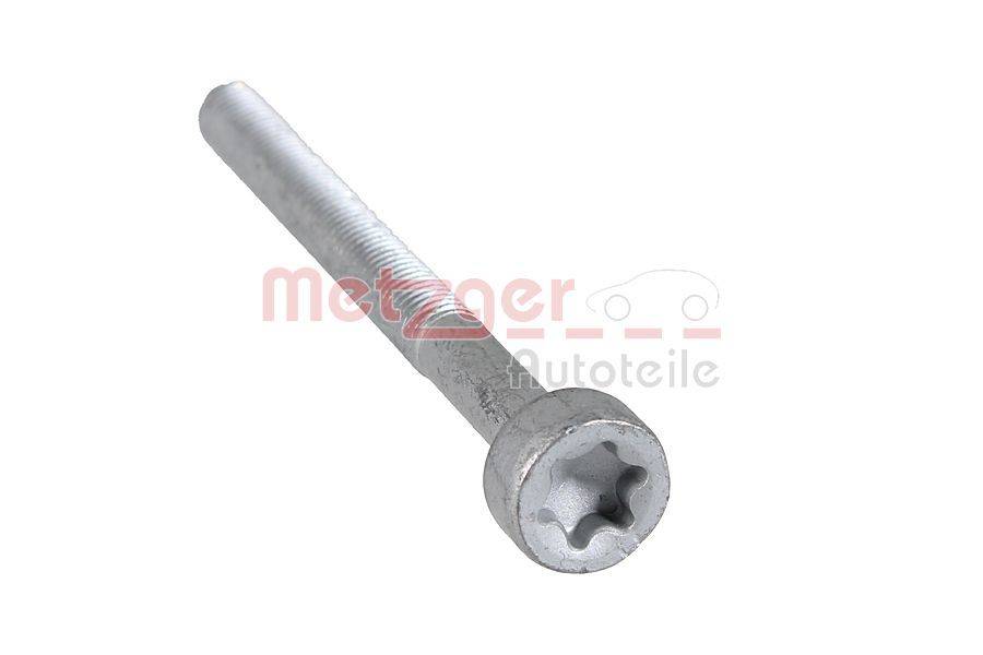 Eine Metallschraube mit sechskantigem Antriebskopf, verwendet für automotive Anwendungen. Hintergrund enthält ein verblasstes automotive Markenlogo.