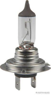 Eine Nahaufnahme einer Halogenlampe mit metallischer Sockel und durchsichtigem Glasgehäuse, die den Glühdraht im Inneren zeigt.