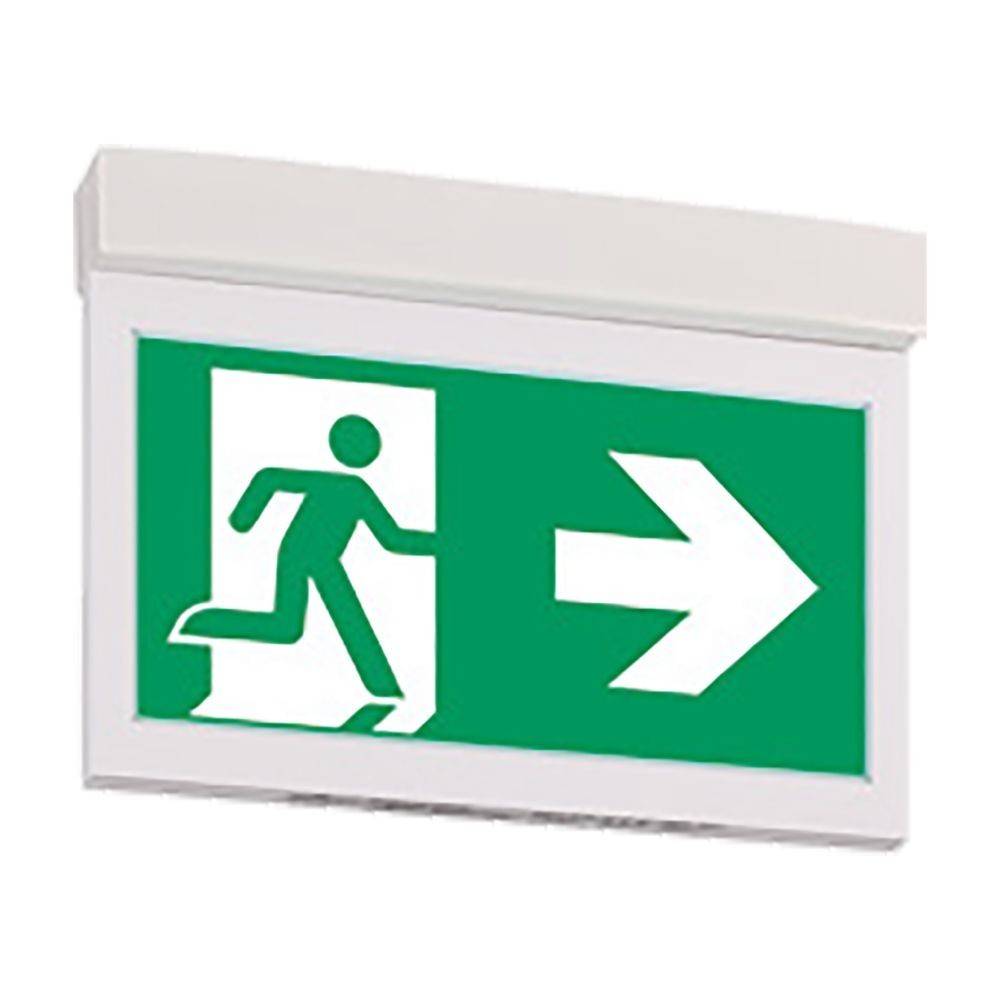 Notausgangsschild mit einer Figur, die durch eine Tür läuft, und einem nach rechts weisenden Pfeil, der die Richtung zum nächstgelegenen Ausgang anzeigt.