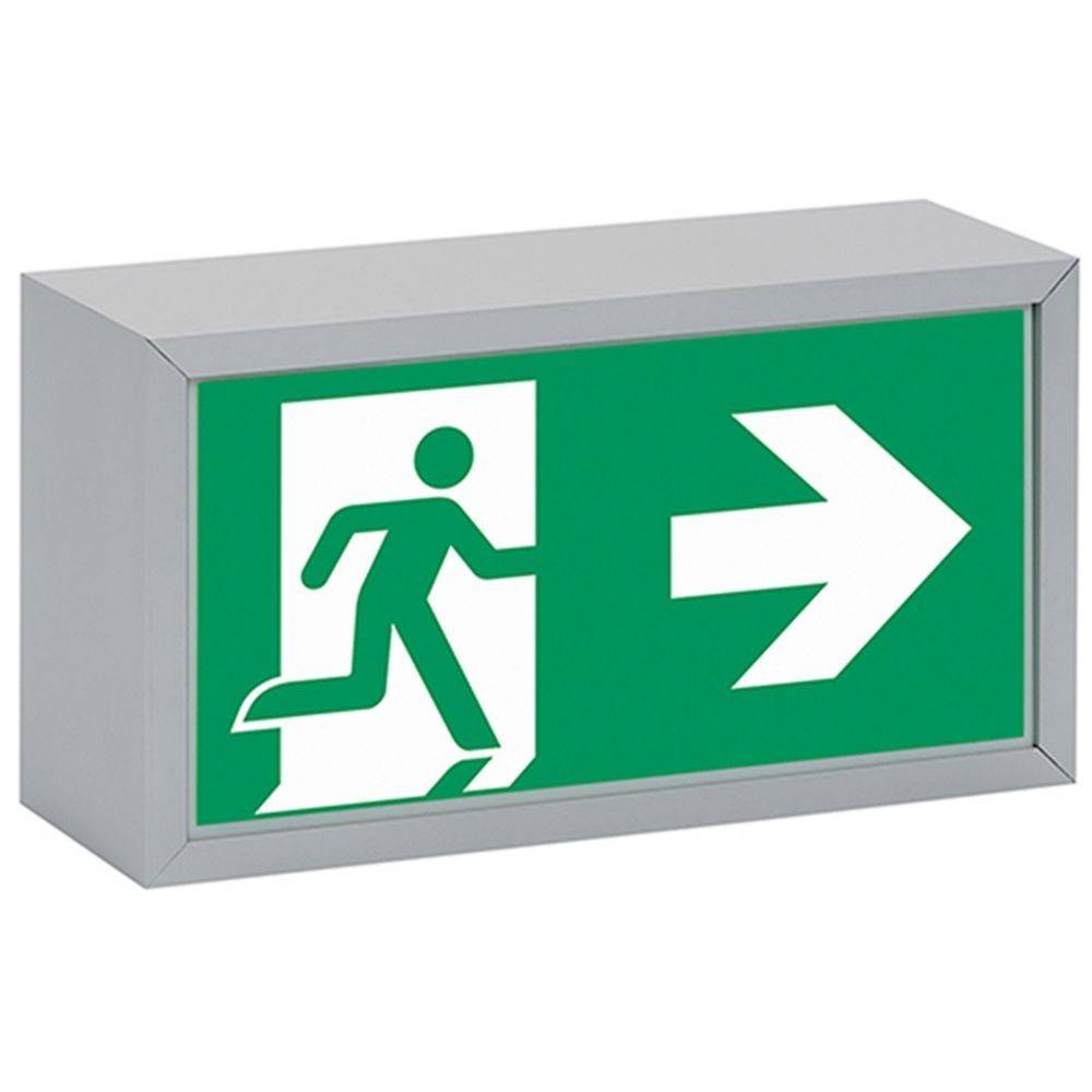 Ceag Notlichtsysteme Sicherheitsleuchte 70011 LED CG-S