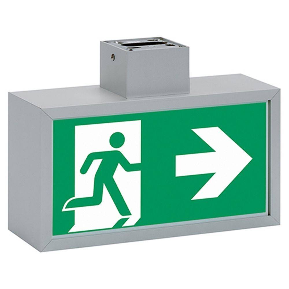 Ceag Notlichtsysteme Sicherheitsleuchte 70021 LED CG-S DM