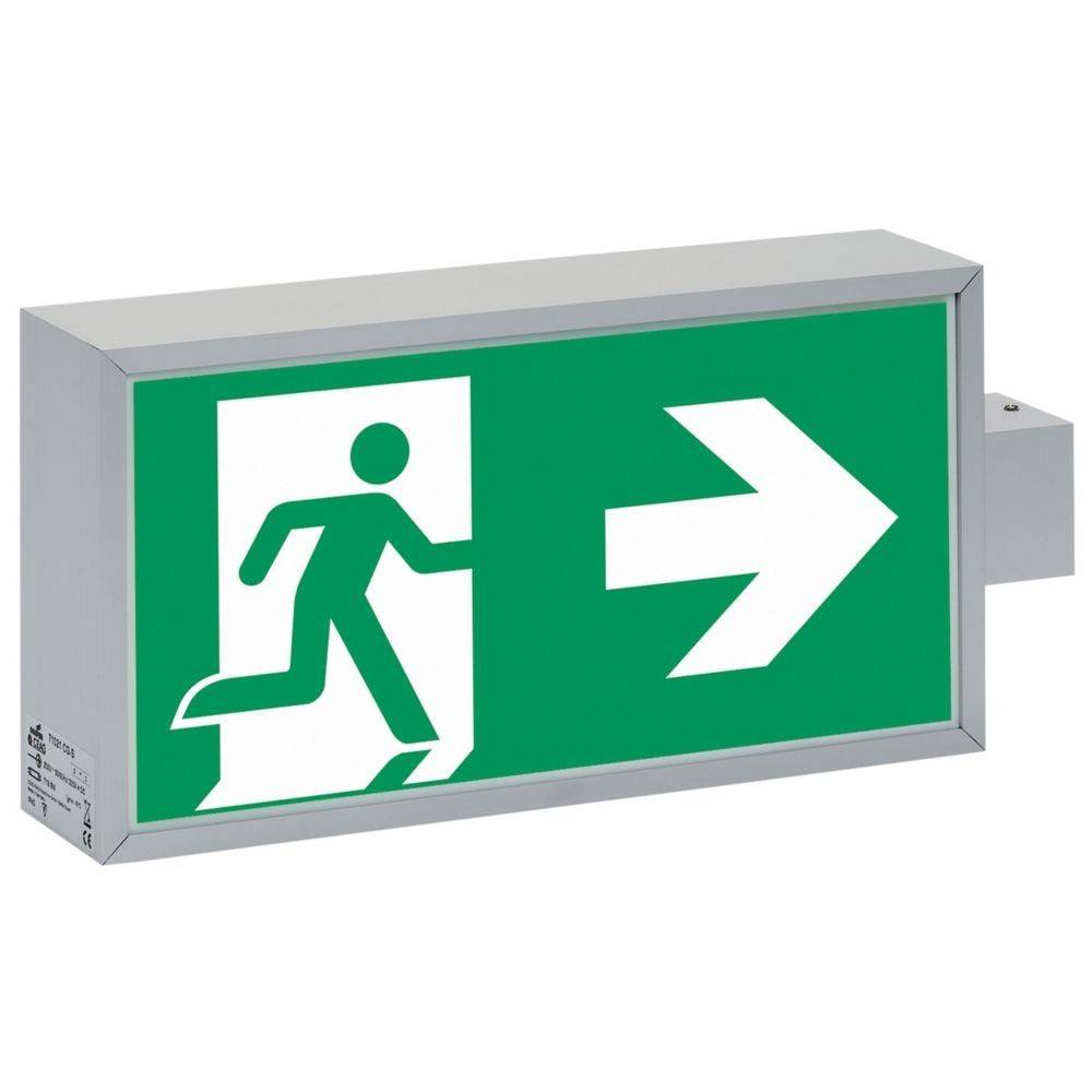 Ceag Notlichtsysteme Sicherheitsleuchte 71021 LED CG-S WM