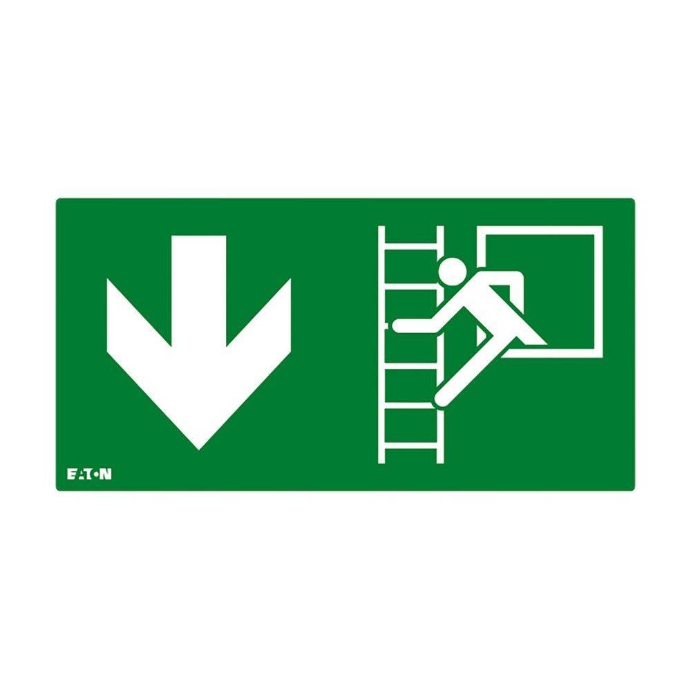 Ceag Notlichtsysteme Piktogramm FT2EWEC-PICTO-EWD