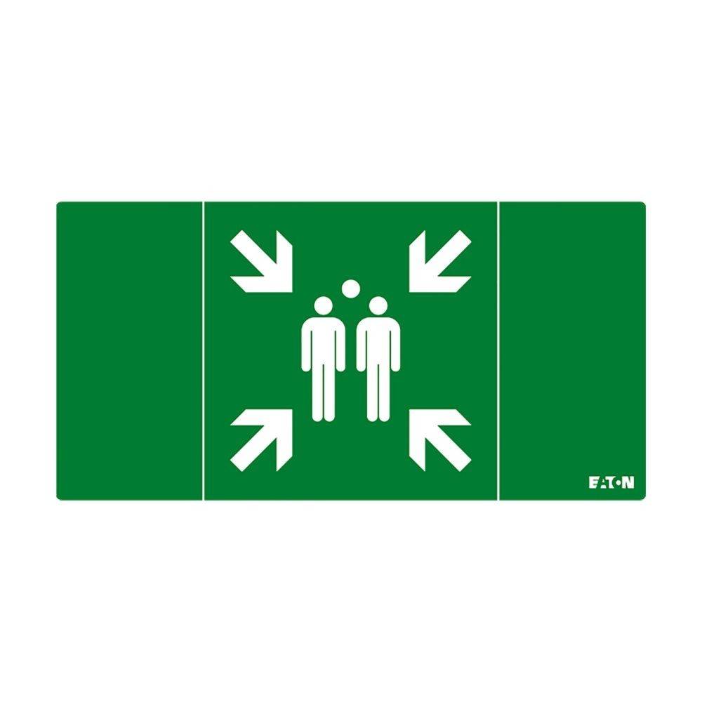 Ceag Notlichtsysteme Piktogramm FT3EWEC-PICTO-MP