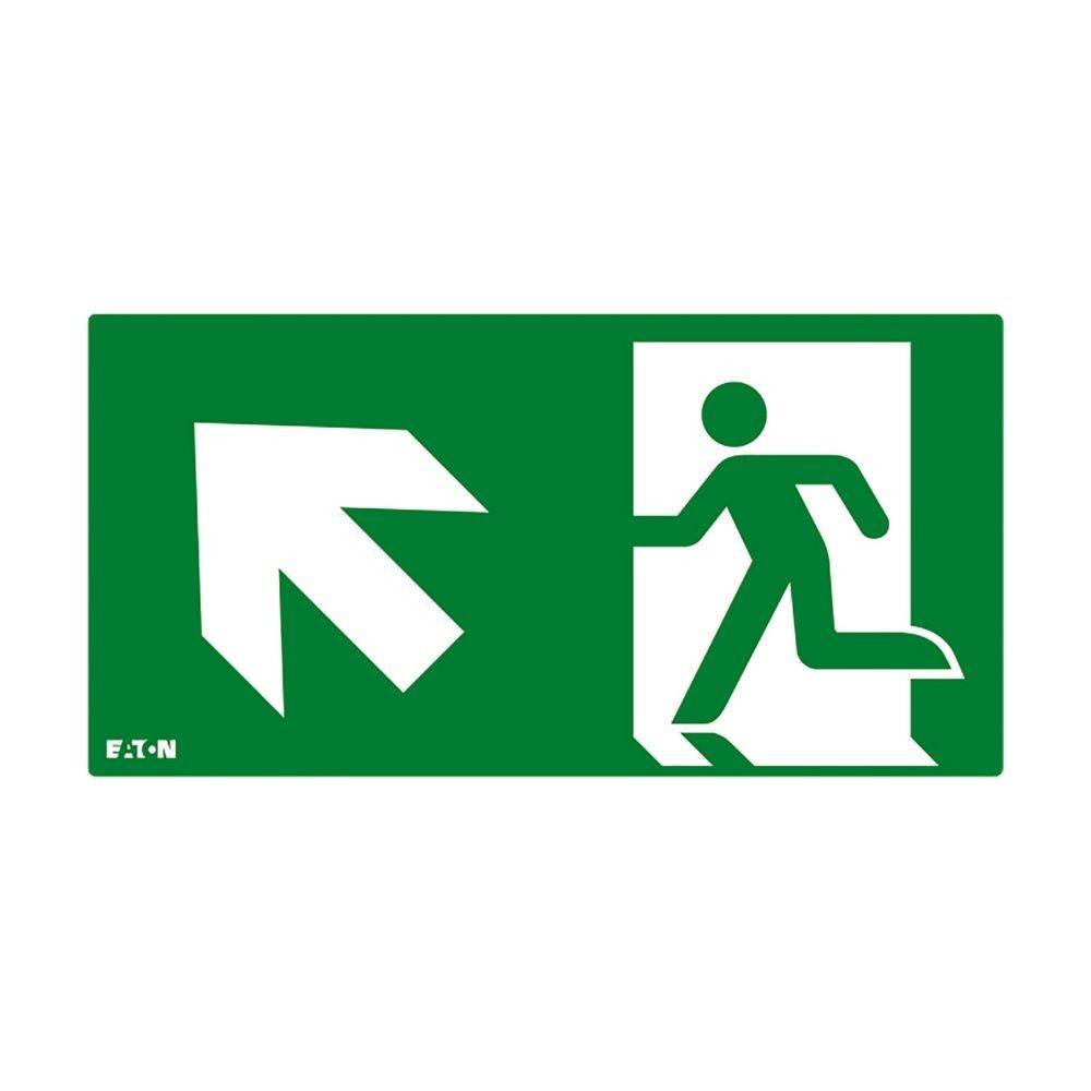 Ceag Notlichtsysteme Piktogramm FT2EWEC-PICTO-UL