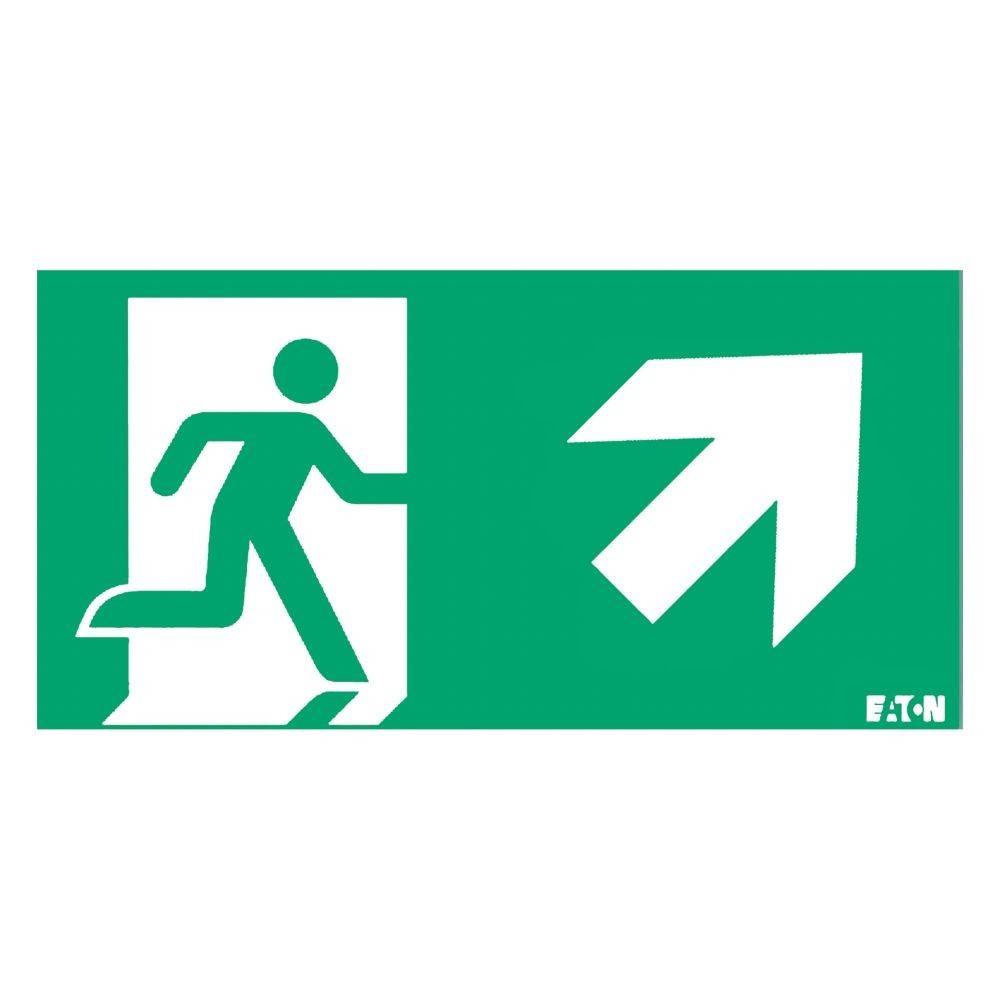 Ceag Notlichtsysteme Piktogramm LUM10595