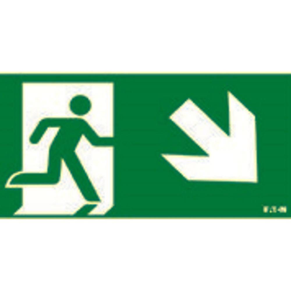 Ceag Notlichtsysteme Piktogramm LUM10596