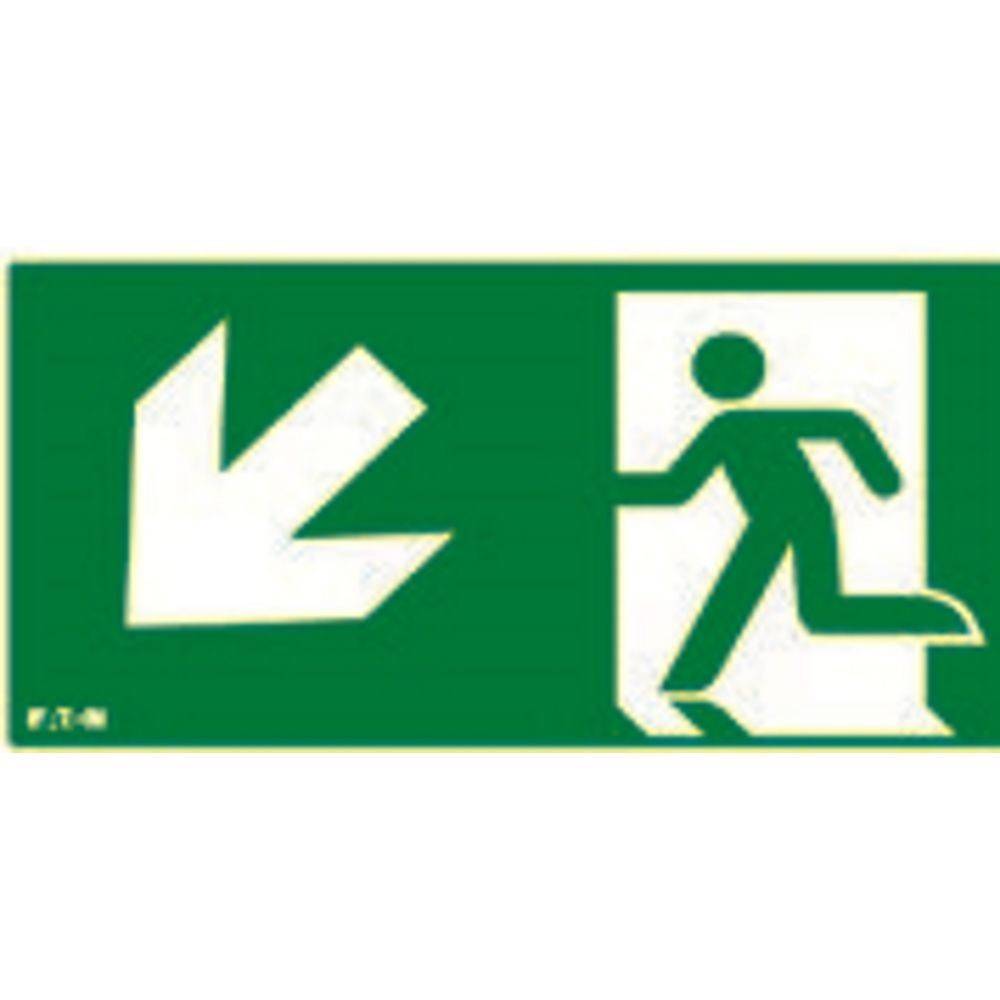 Ceag Notlichtsysteme Piktogramm LUM10597