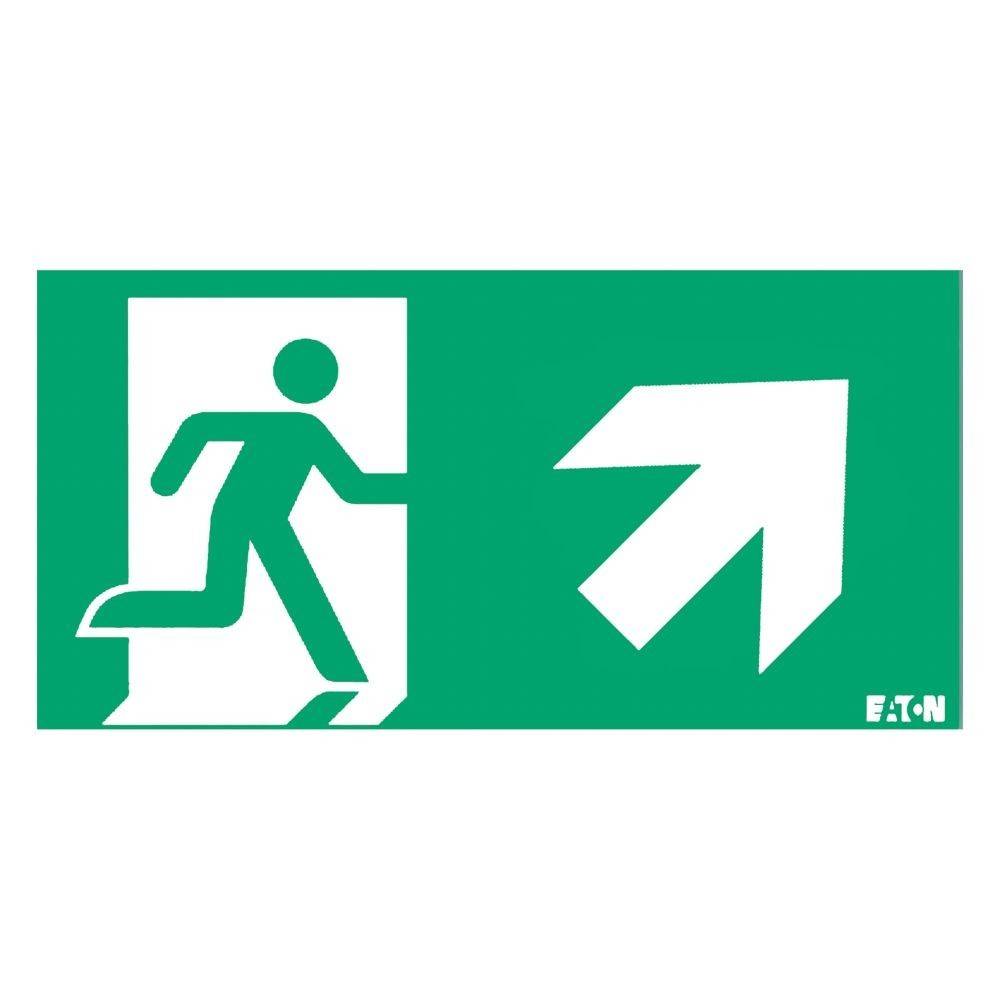 Ceag Notlichtsysteme Piktogramm LUM10972