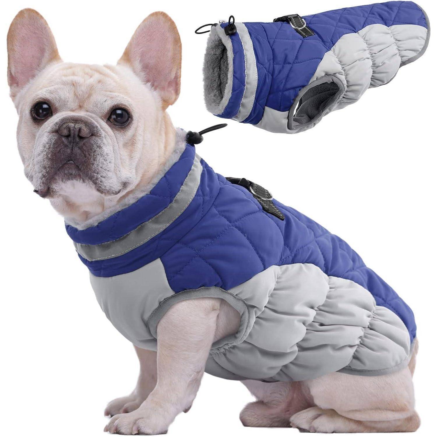 Ein kleiner Hund trägt eine blau-graue gesteppte Jacke und sitzt, wobei ein Nahaufnahme der Jacke Details ihrer Gestaltung zeigt.
