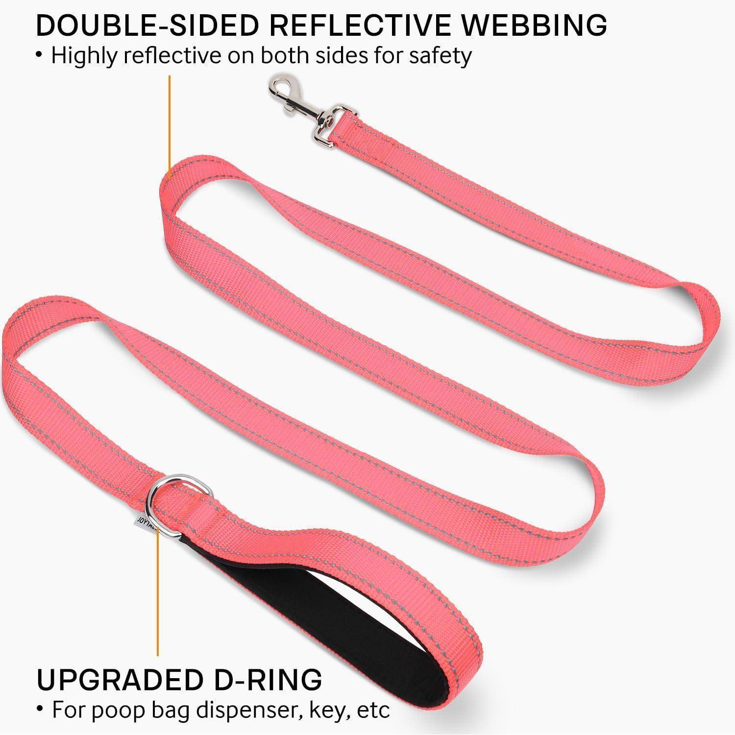 Eine rosa Hundeleine mit beidseitigem reflektierendem Gurtband für mehr Sicherheit und einem verbesserten D-Ring zum Anbringen von Zubehör wie einem Kotbeutel-Spender.