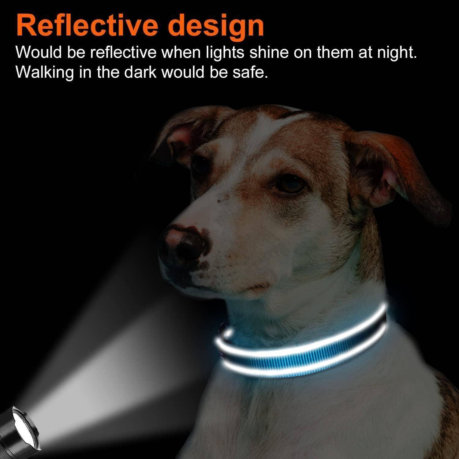 Ein Hund mit einem blauen reflektierenden Halsband bei Nacht, beleuchtet von Licht. Text lautet: 'Reflektierendes Design. Im Dunkeln zu gehen wäre sicher.
