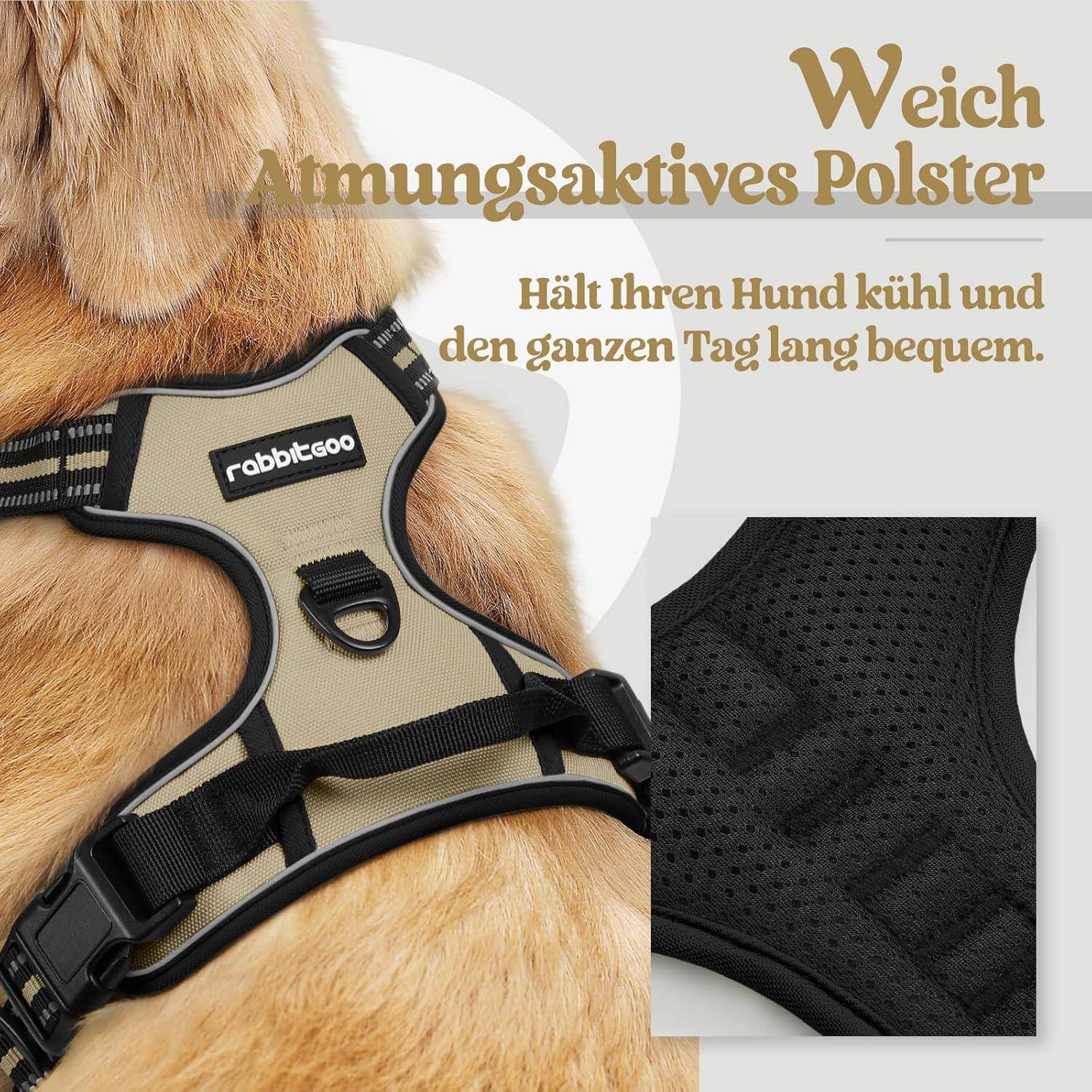 Ein brauner Hund, der ein atmungsaktives Geschirr von 'rabbitgoo' trägt, mit deutschem Text, der Komfort und Kühle während des ganzen Tages hervorhebt.