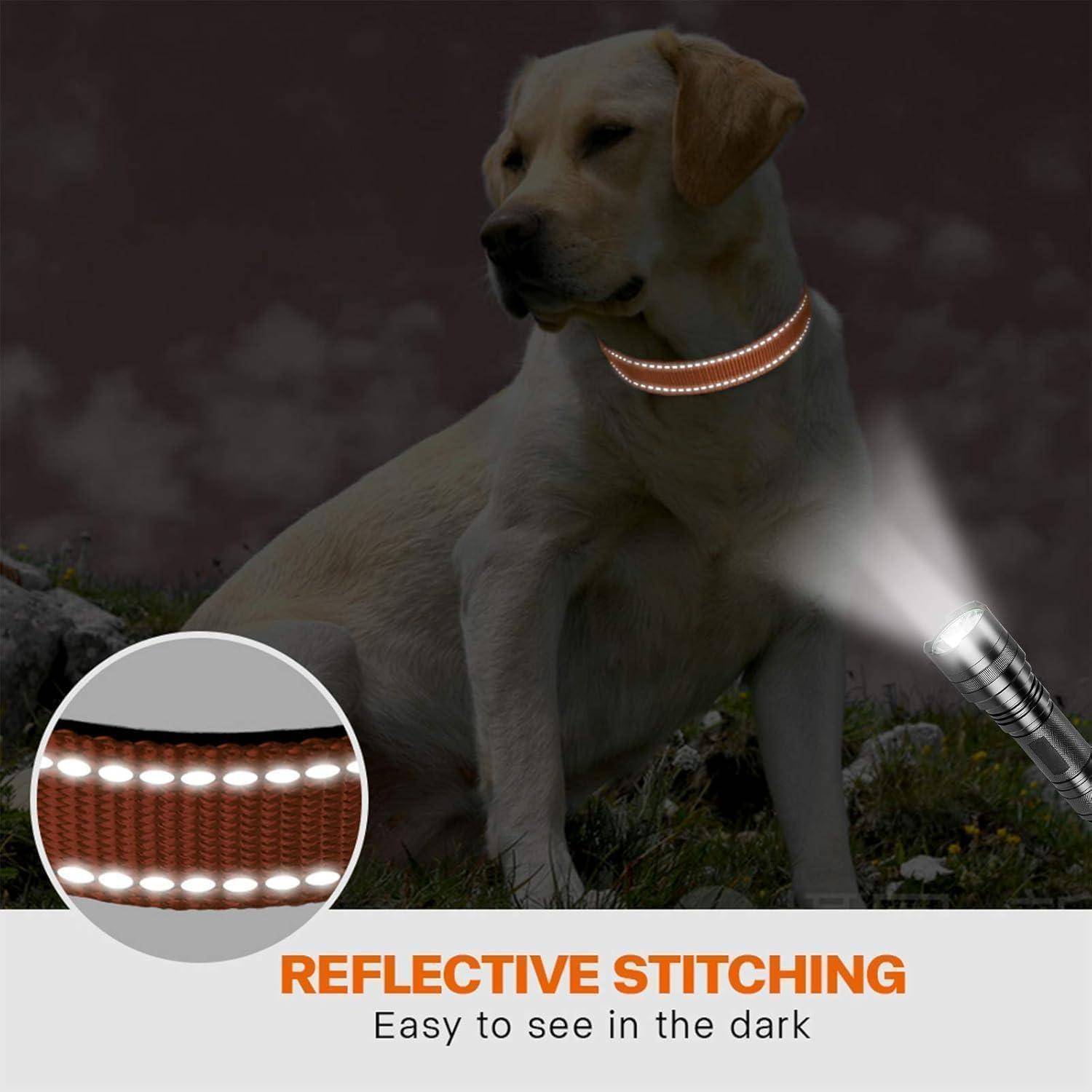 Hundehalsband Gepolstert Neopren Verstellbar M (35-50cm) Orange