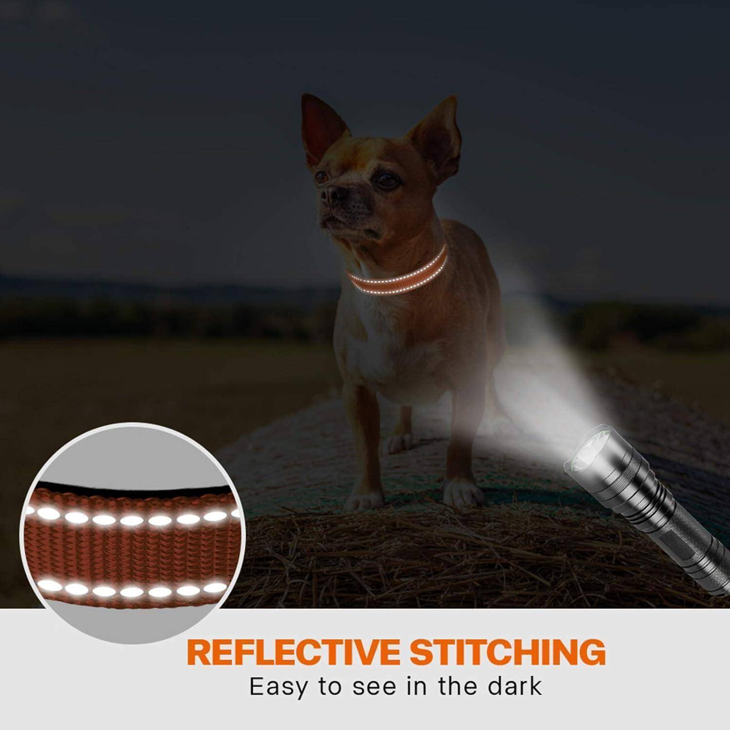 Hundehalsband Neopren Verstellbar Reflektierend XS (20-30cm) Orange