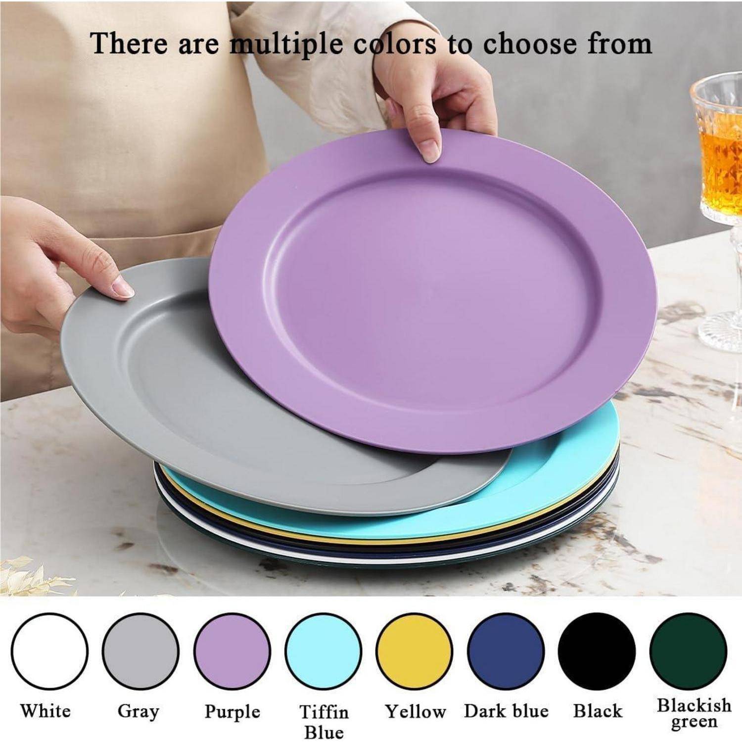 Teller Kunststoff Set 8Stück 25cm Mehrweg Picknick 1. Mutil Farbe