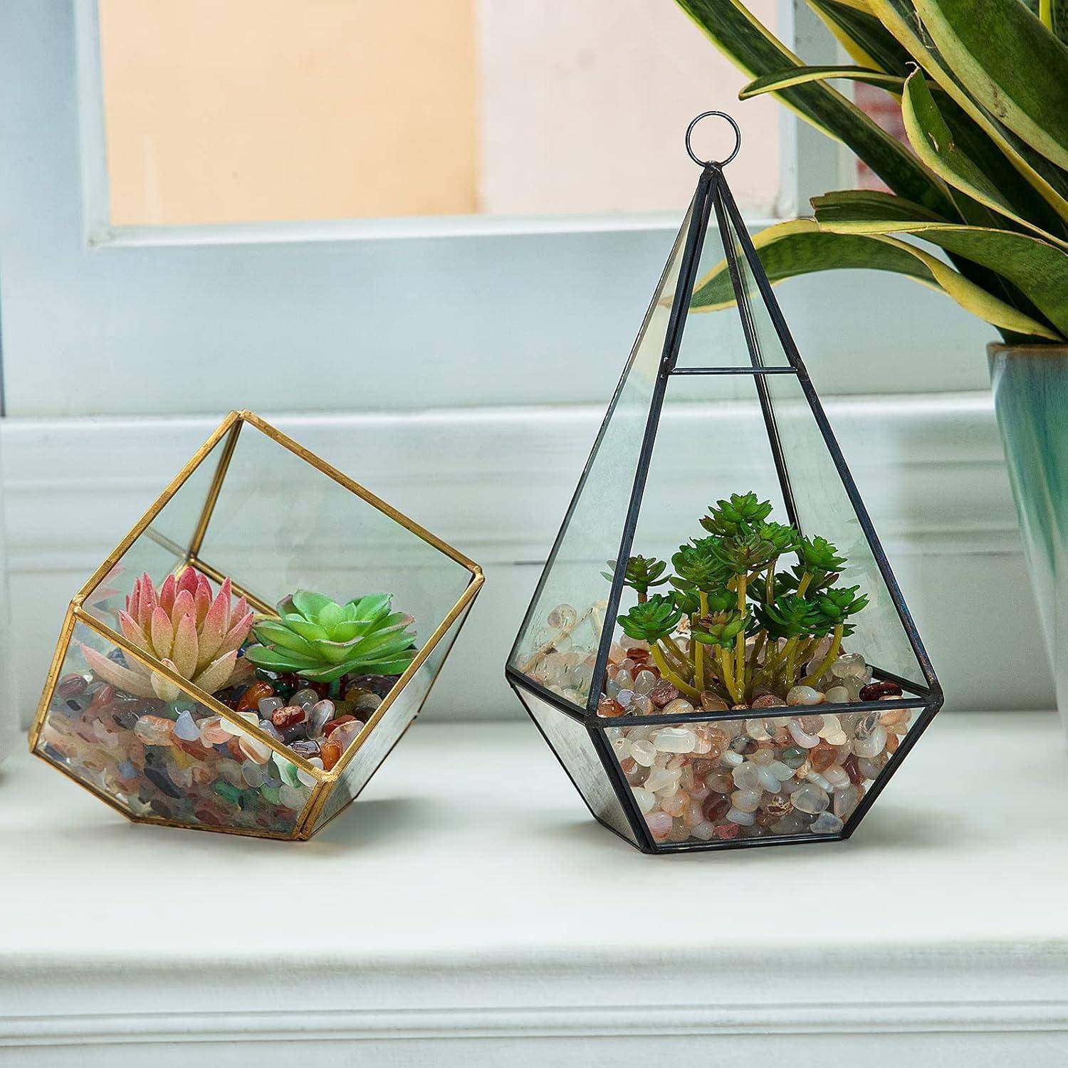 Zwei geometrische Glasterrarien mit kleinen Sukkulenten im Inneren, die auf einem weißen Fenstersims platziert sind. Eines ist pyramidenförmig, das andere ist quadratisch.