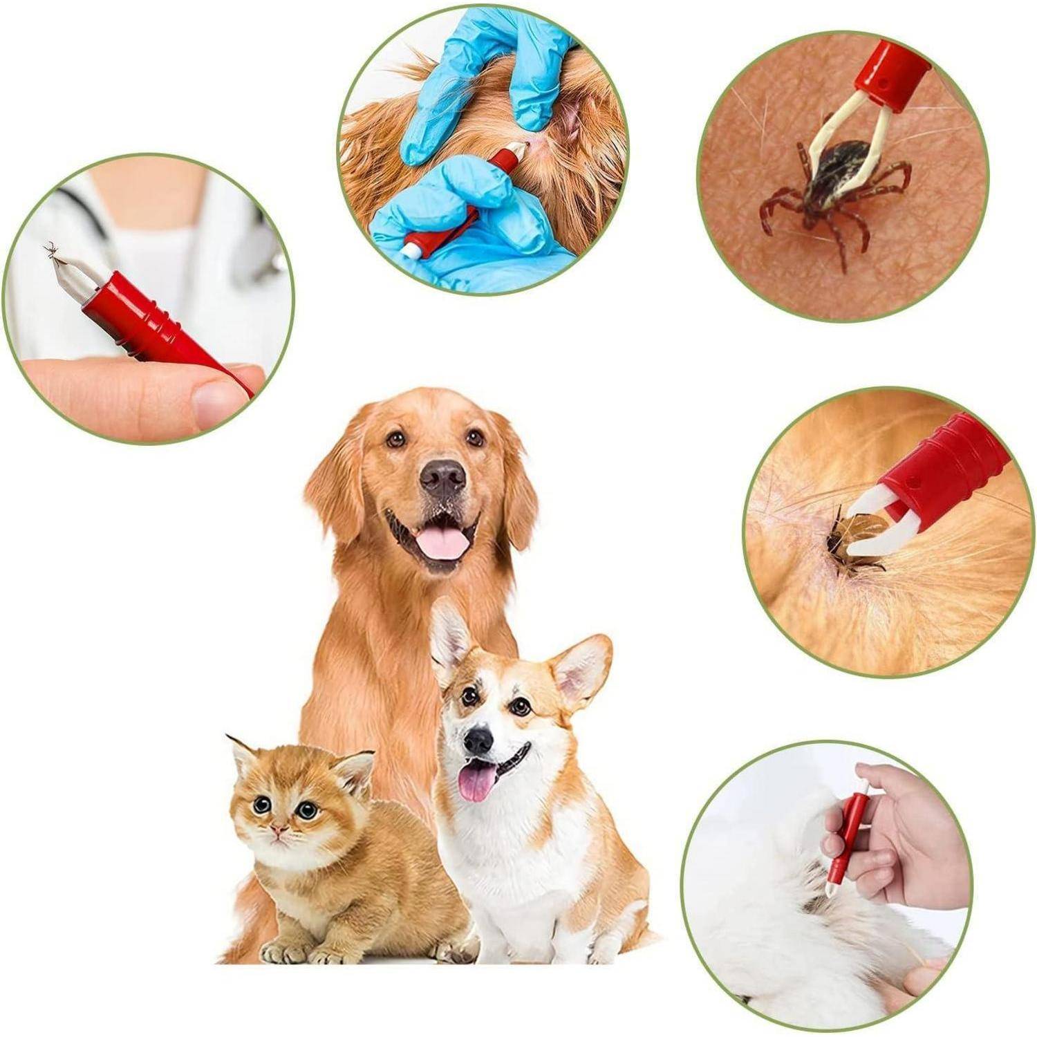 Ein Hund, eine Katze und ein Hund werden mit einem Werkzeug zur Zeckenentfernung abgebildet. Einschübe zeigen die Schritte des Zeckenentfernungsprozesses auf dem Fell eines Haustieres.