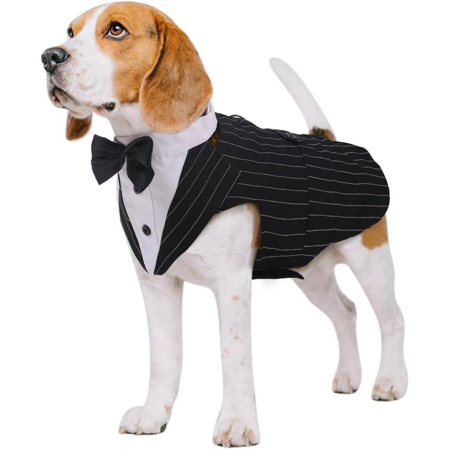 Hund Smoking Anzug Bandana Set Hochzeit Halloween Party S-XXL
