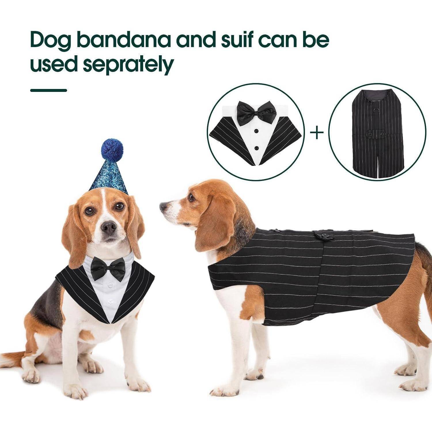 Zwei Hunde in Abendgarderobe: einer mit einem schwarzen Bandana und einer Fliege, der andere in einem schwarz gestreiften Anzug. Text lautet: 