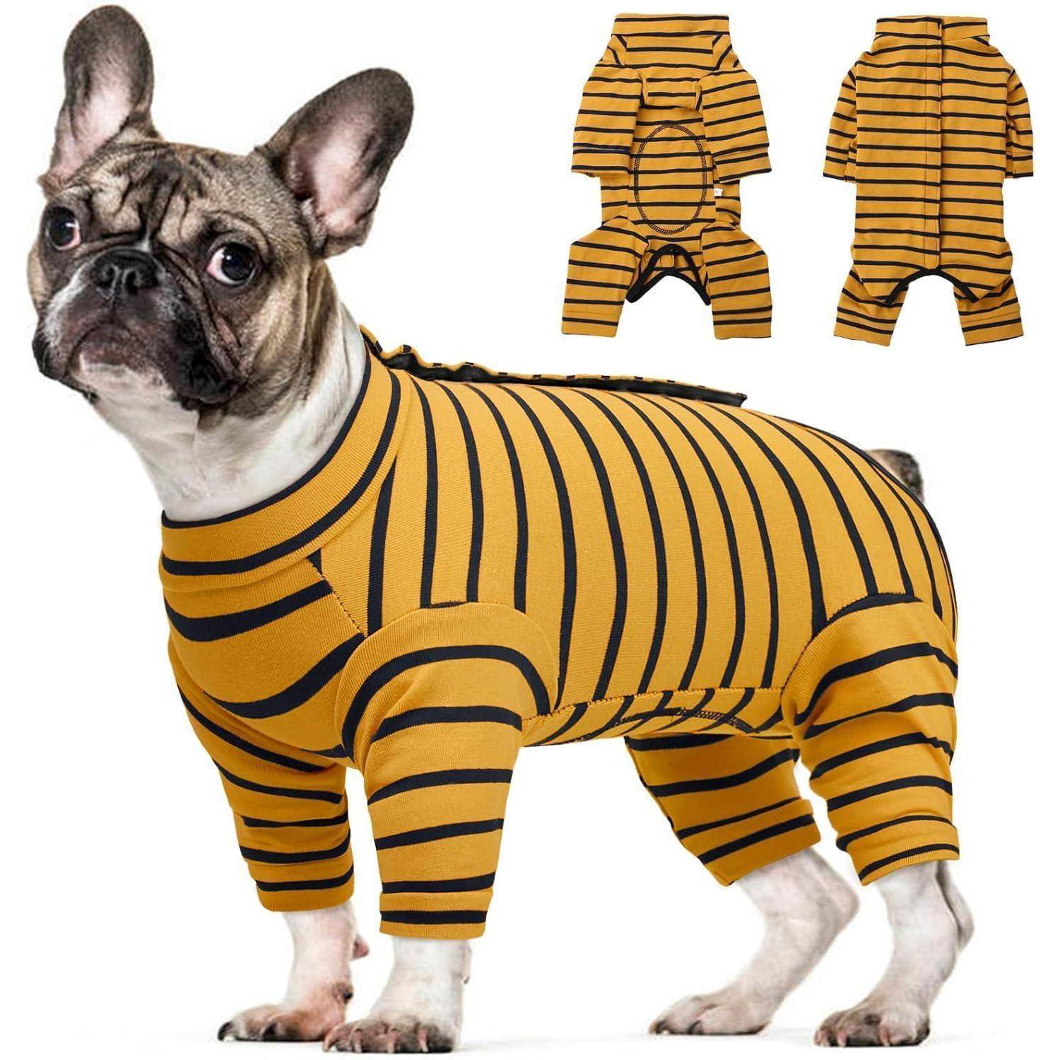 Ein Hund, der einen gelb-schwarz gestreiften Einteiler trägt, mit zwei Ansichten des Outfits in der Nähe.