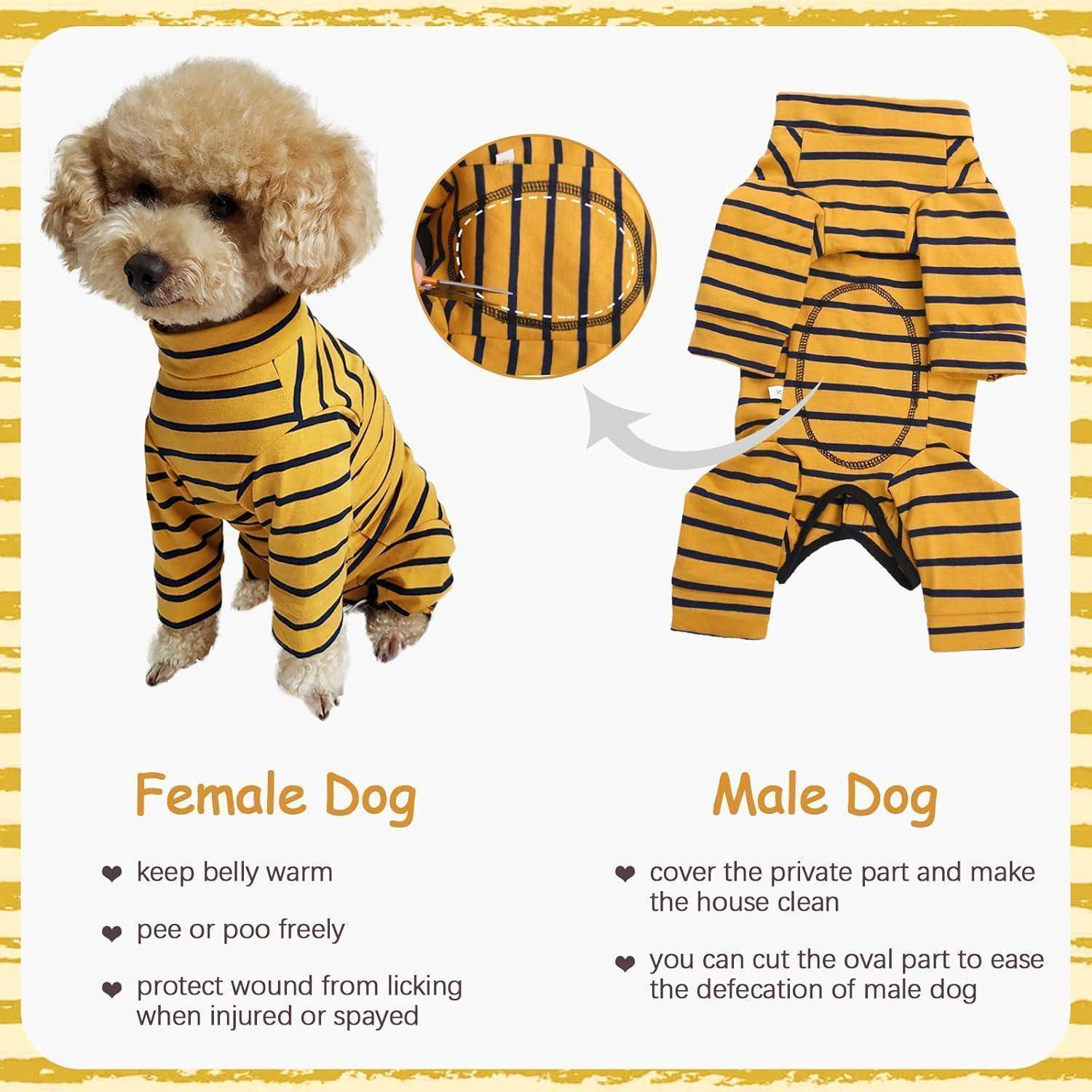 Ein kleiner Hund, der ein gestreiftes Outfit trägt. Das Outfit ist unterschiedlich gestaltet für männliche und weibliche Hunde, mit Beschreibungen der Vorteile für jeden.