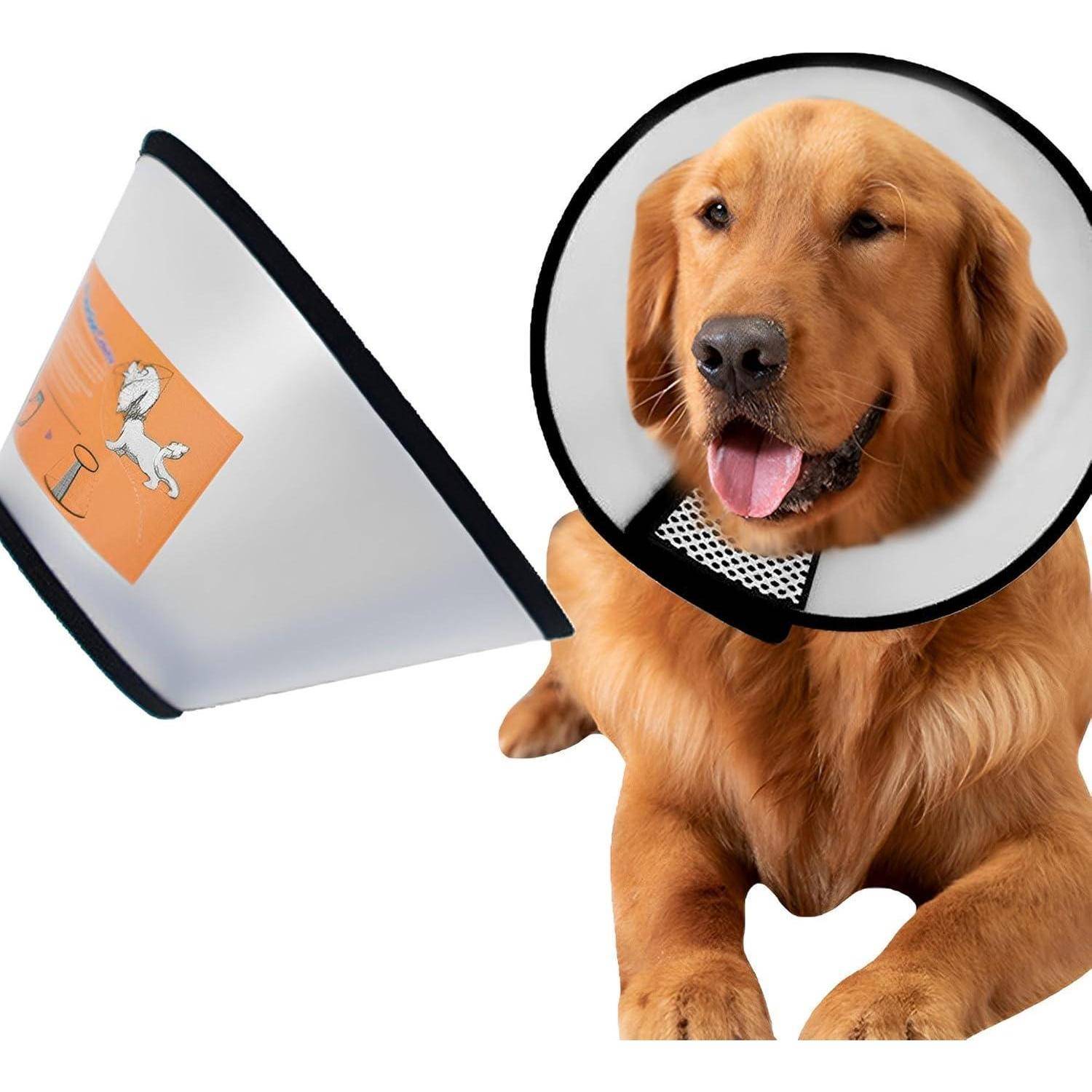 Ein fröhlicher Hund, der einen Schutzkragen trägt, mit einer illustrierten Anleitung an seiner Seite, die ihn wahrscheinlich daran hindert, Wunden oder Nähte zu belecken.