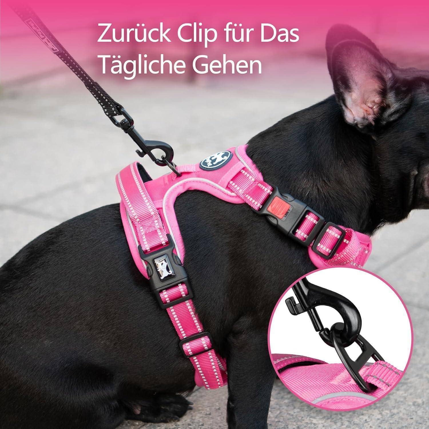 Ein Hund, der ein rosa Geschirr mit Rückenclip trägt, aus nächster Nähe aufgenommen. Text auf Deutsch liest: 