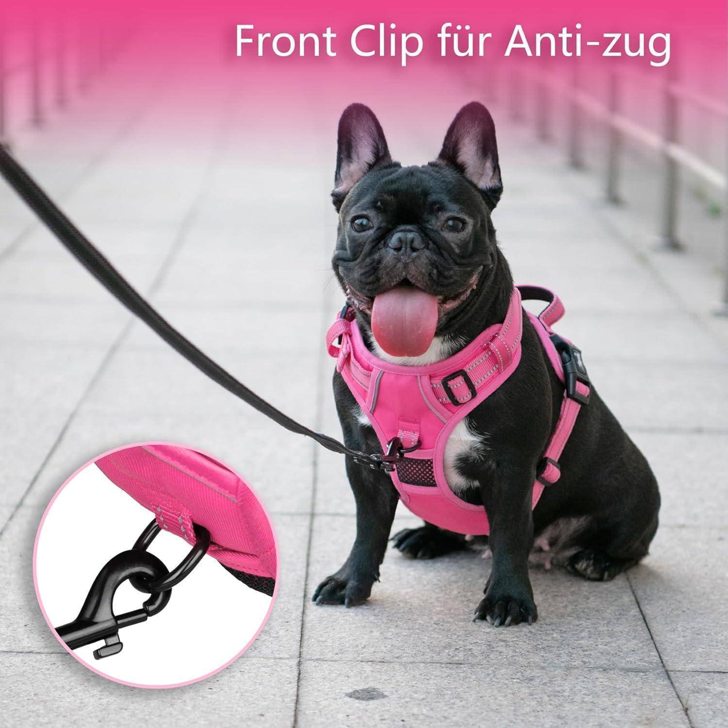 Ein schwarzer Hund mit einem leuchtend pinken Geschirr sitzt auf einem Gehweg. Das Bild zeigt einen Nahaufnahme des vorderen Clips des Geschirrs, beschriftet mit ‚Front Clip für Anti-zug'. Eine Leine ist an dem vorderen Clip befestigt.