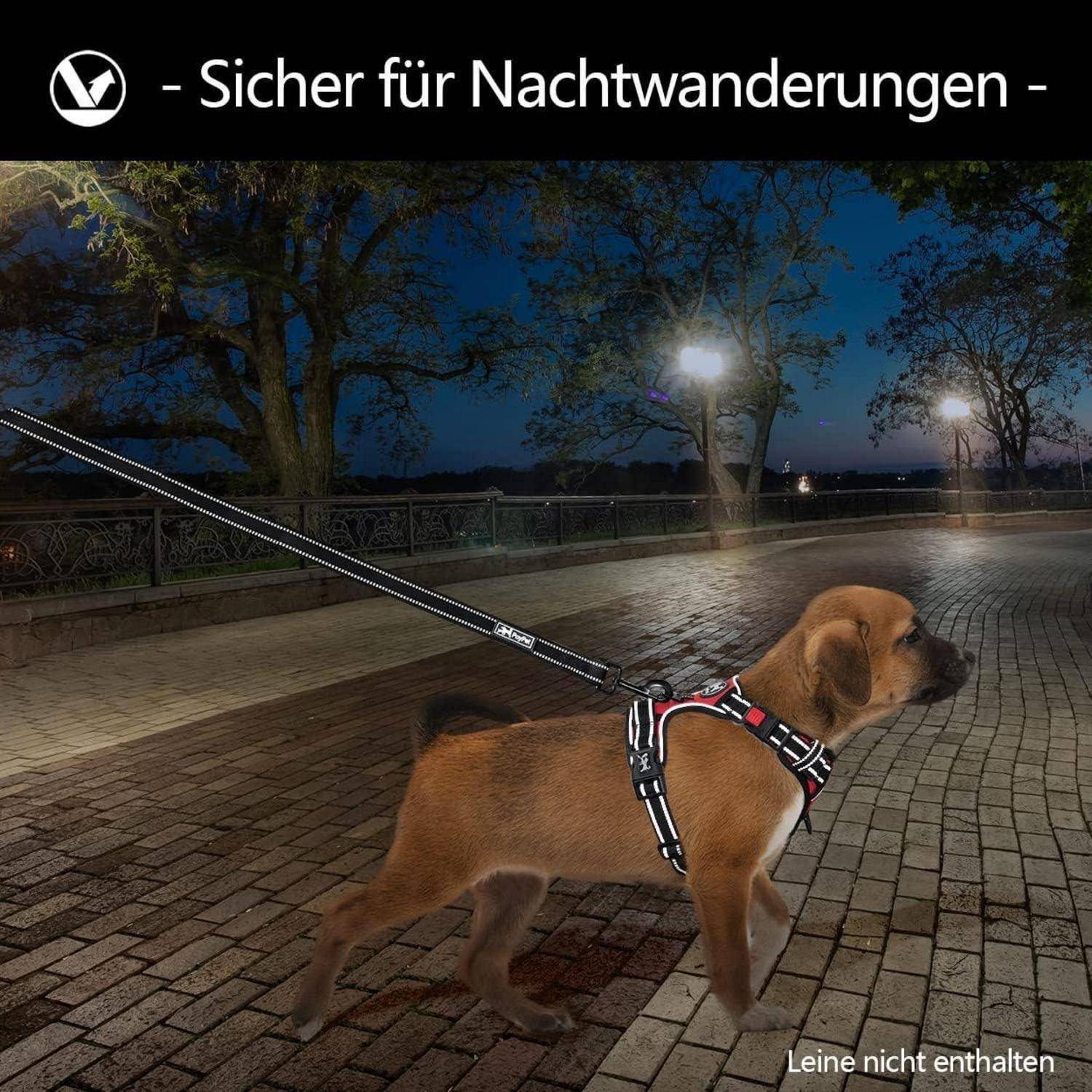 Ein Hund mit reflektierender Warnweste läuft an der Leine auf einem dunkel beleuchteten Pfad bei Nacht, mit beleuchteten Straßenlampen im Hintergrund.