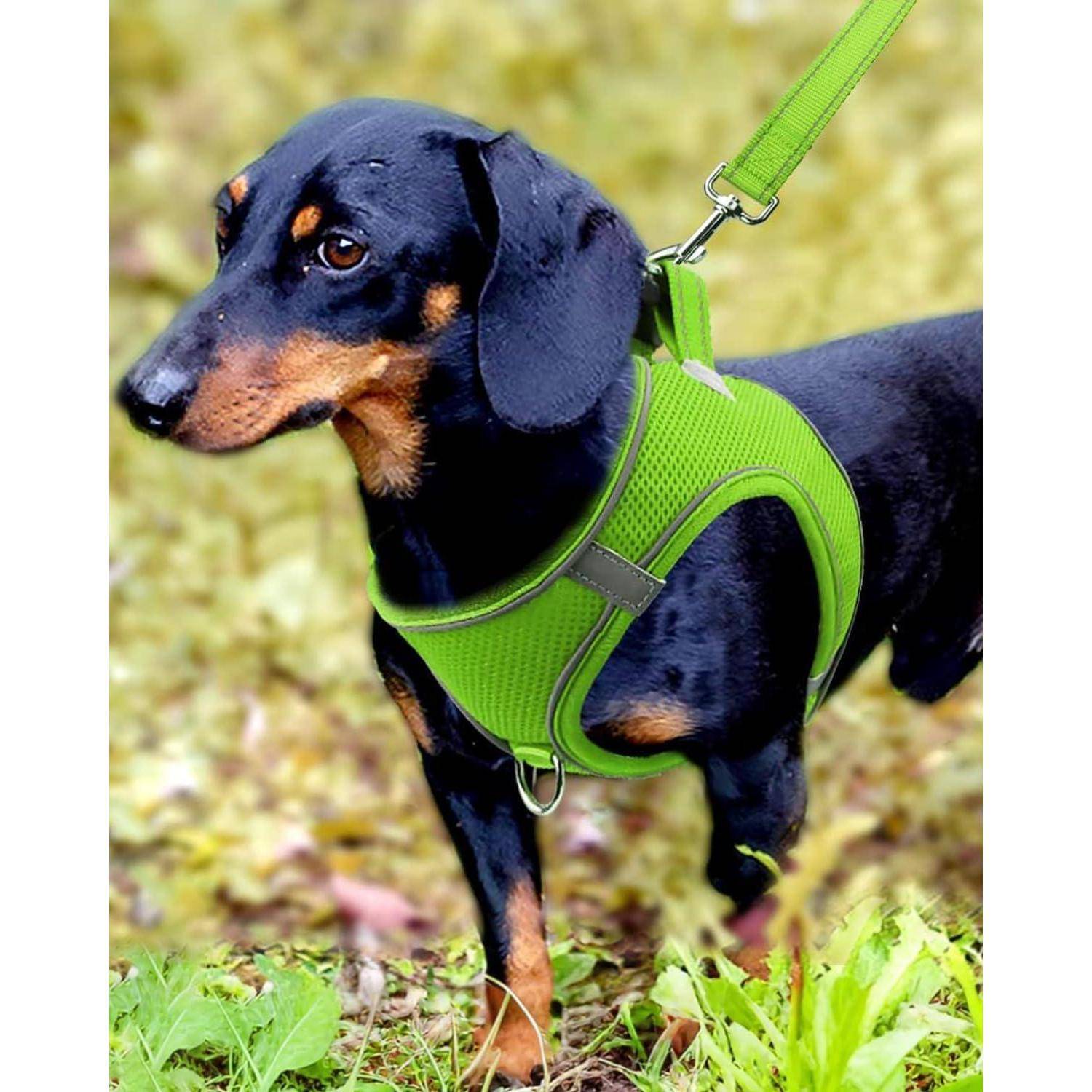 Hundegeschirr Brustgeschirr Reflektierend Air M-Brust:42-47cm Grün