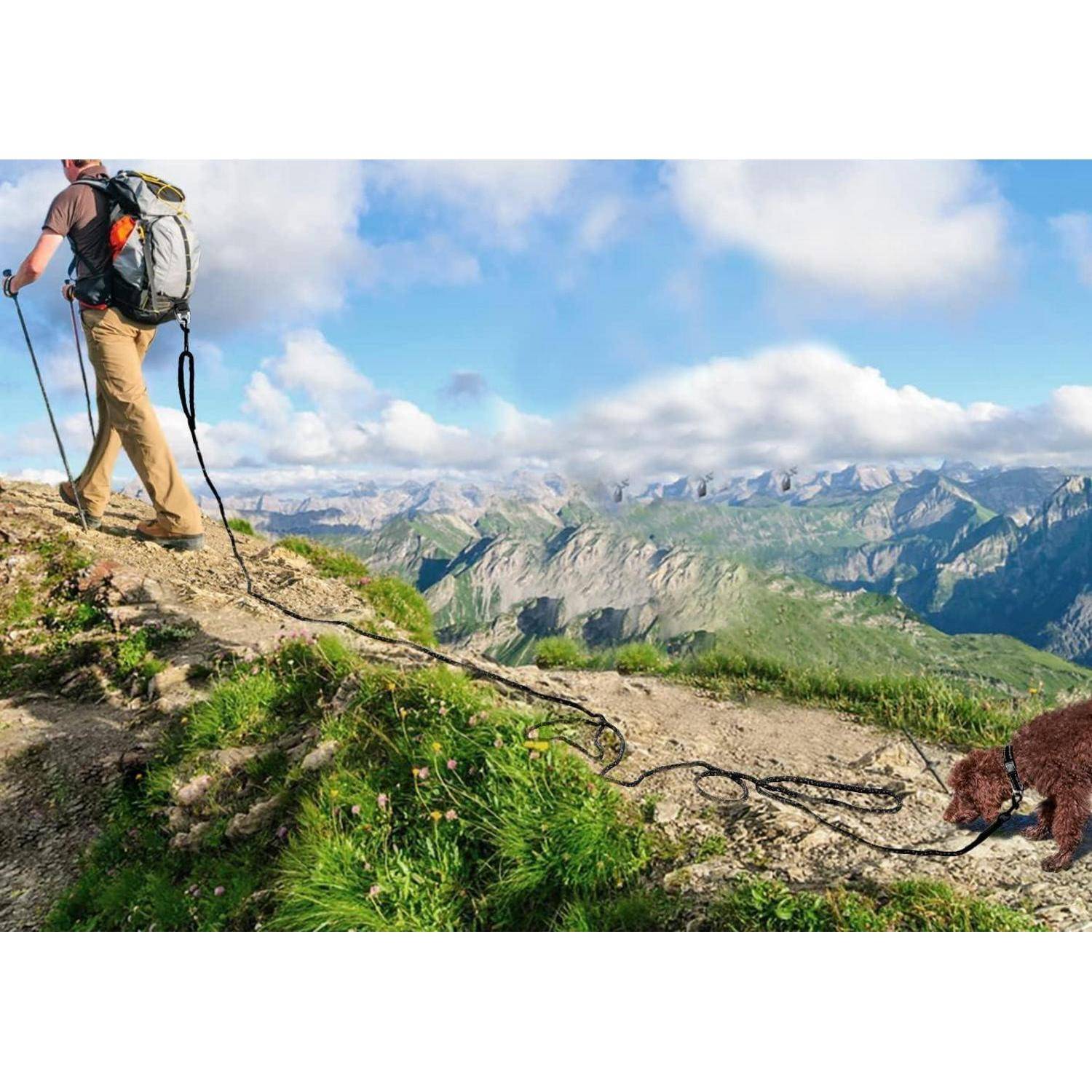 Eine Person wandert mit einem Hund an der Leine einen Bergpfad entlang, umgeben von weiten Ausblicken auf ferne, zerklüftete Berge unter einem blauen Himmel.