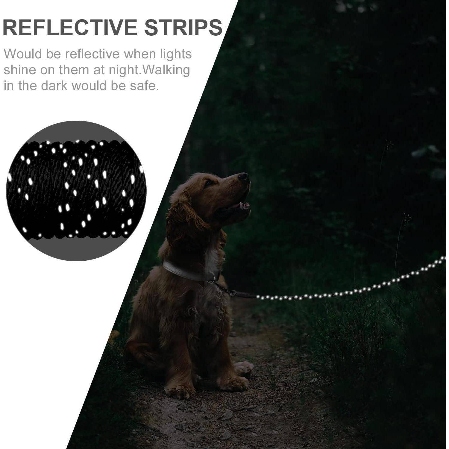 Ein Hund auf einem dunklen Weg mit reflektierenden Streifen um seinen Hals. Das Bild zeigt, wie diese Streifen die Sicherheit während nächtlicher Spaziergänge verbessern.