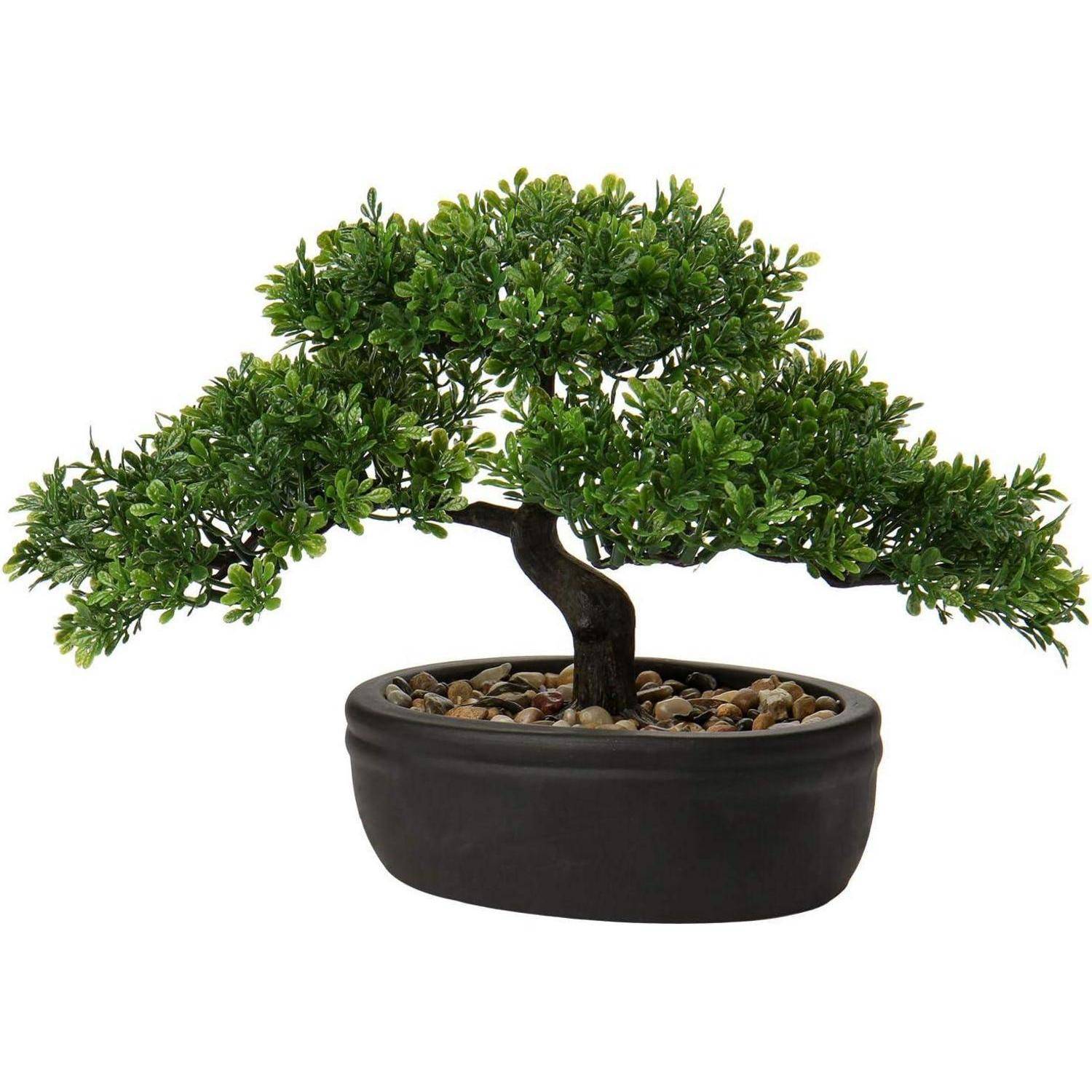 Ein kleiner Bonsai-Baum mit üppigem grünem Laub in einem schwarzen ovalen Topf, platziert auf einer Oberfläche, die mit kleinen Kieseln bedeckt ist.