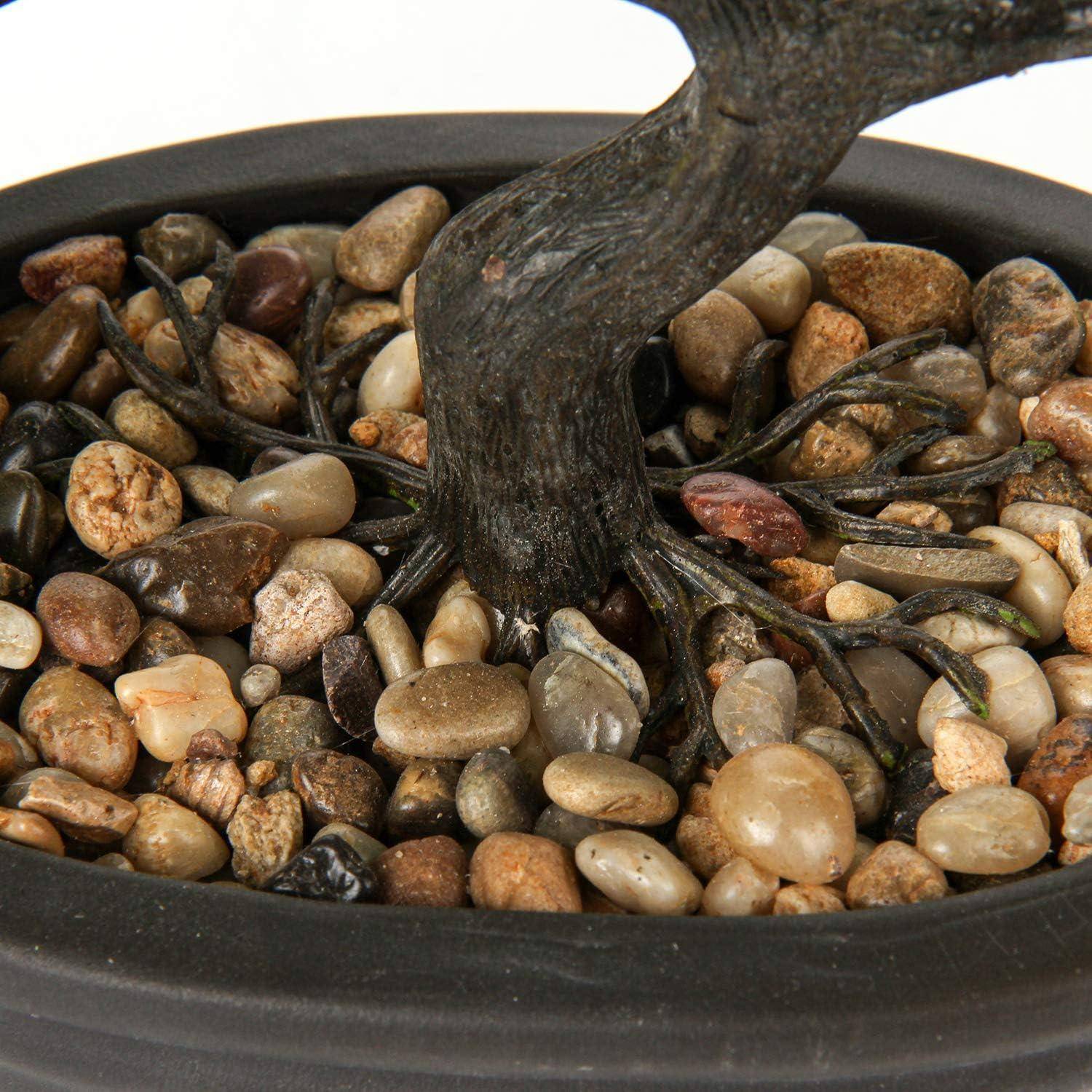 Ein kleiner Bonsai-Baum mit freigelegten Wurzeln ist in einem flachen Behälter gepflanzt und von glatten Kieseln umgeben.