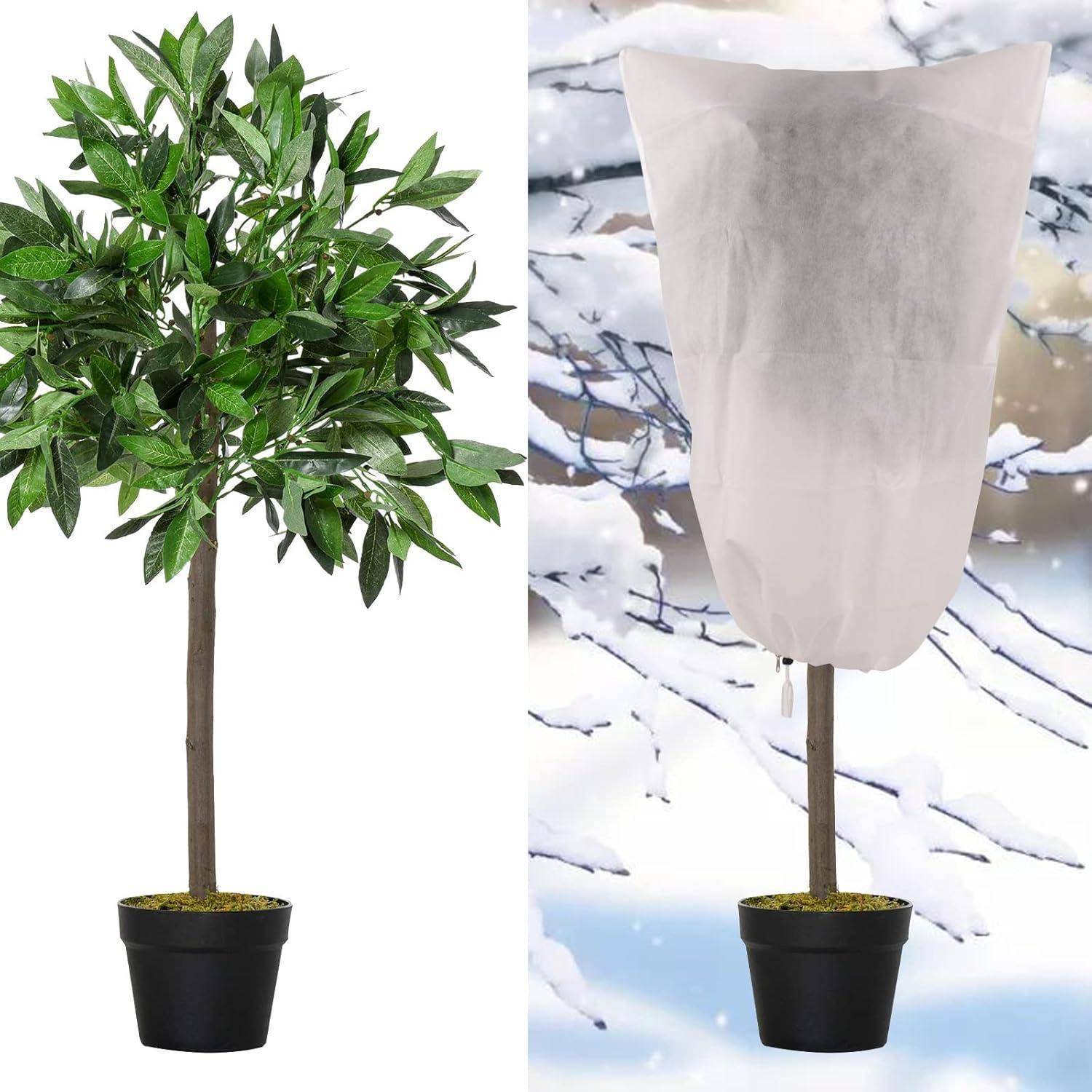 Ein Baum in einem Topf mit üppig grünen Blättern links; rechts derselbe Baum in weiße Schutzfolie gehüllt, vor einem verschneiten Hintergrund.