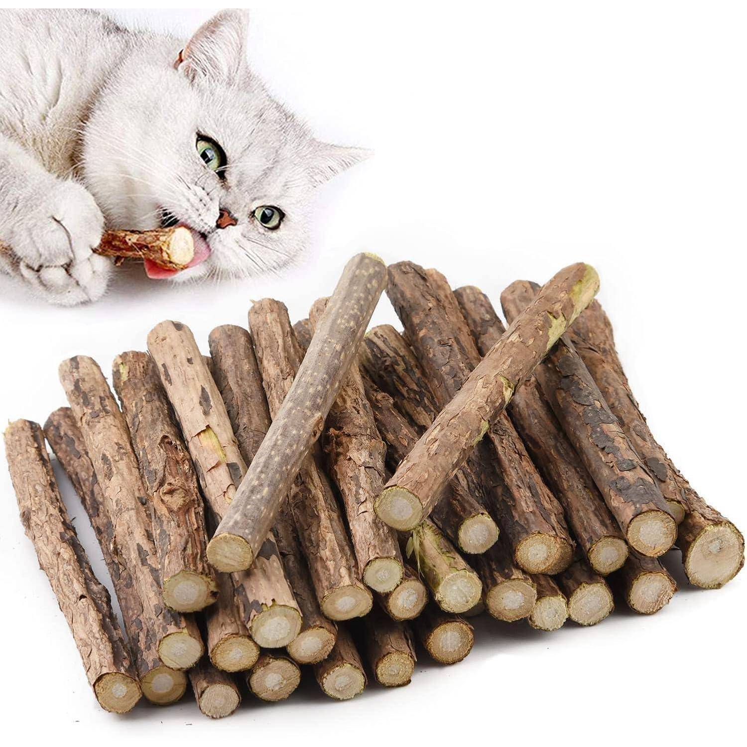 30 Katzenminze Sticks Matatabi Kauhölzer Zahnpflege & Katzenspielzeug