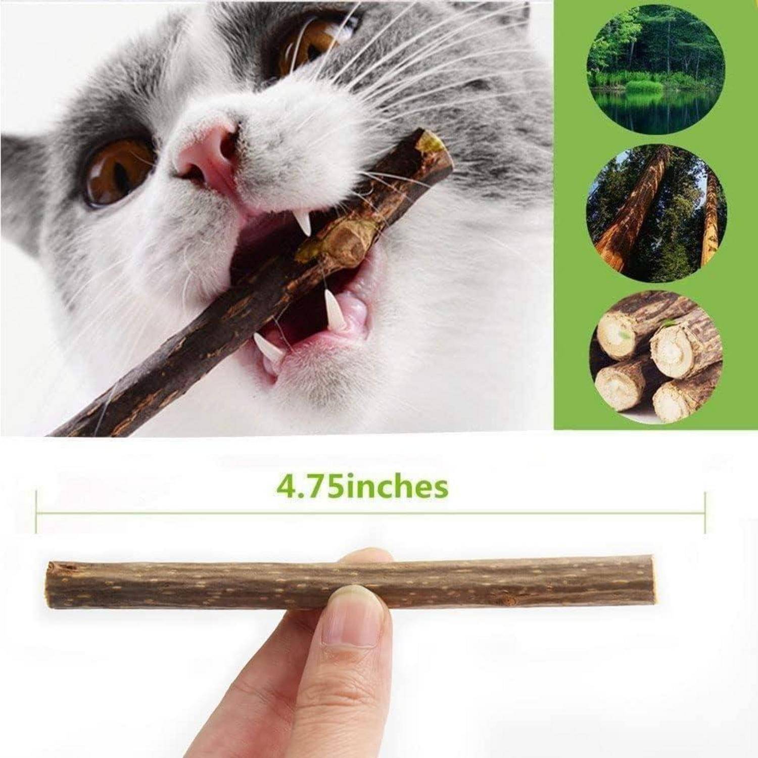 30 Katzenminze Sticks Matatabi Kauhölzer Zahnpflege & Katzenspielzeug