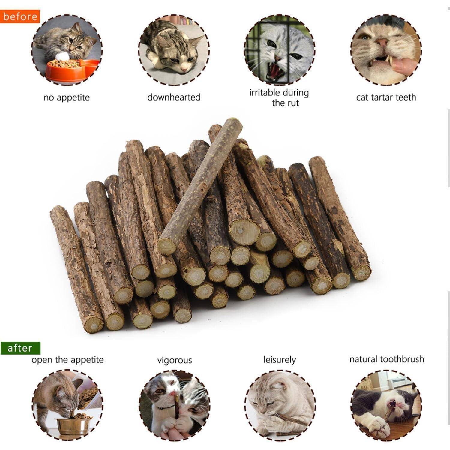 30 Katzenminze Sticks Matatabi Kauhölzer Zahnpflege & Katzenspielzeug