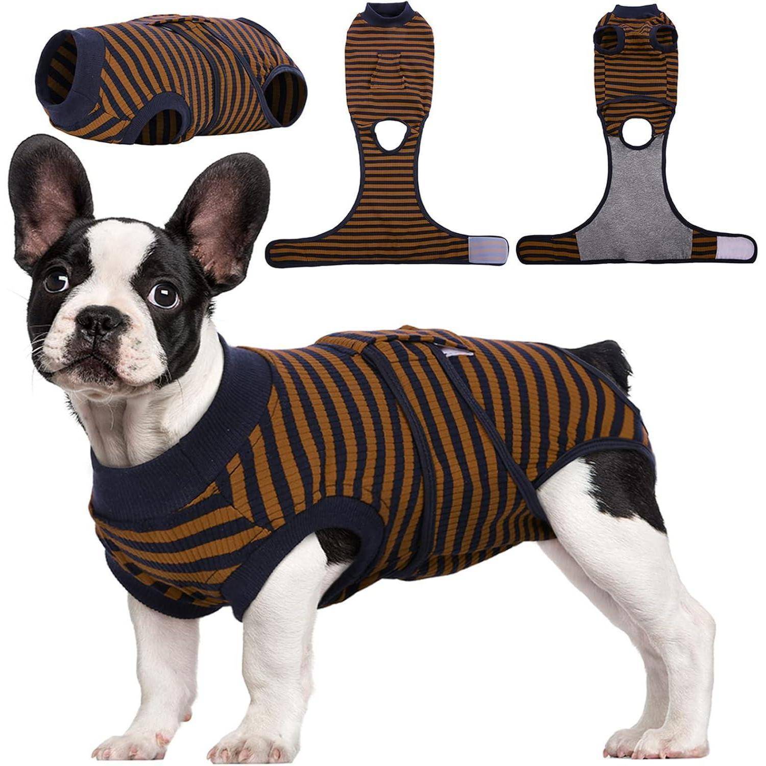 Ein Französische Bulldogge, die einen braun-marineblau gestreiften Pullover trägt; zusätzliche Bilder zeigen das Design des Pullovers mit Klettverschlüssen.
