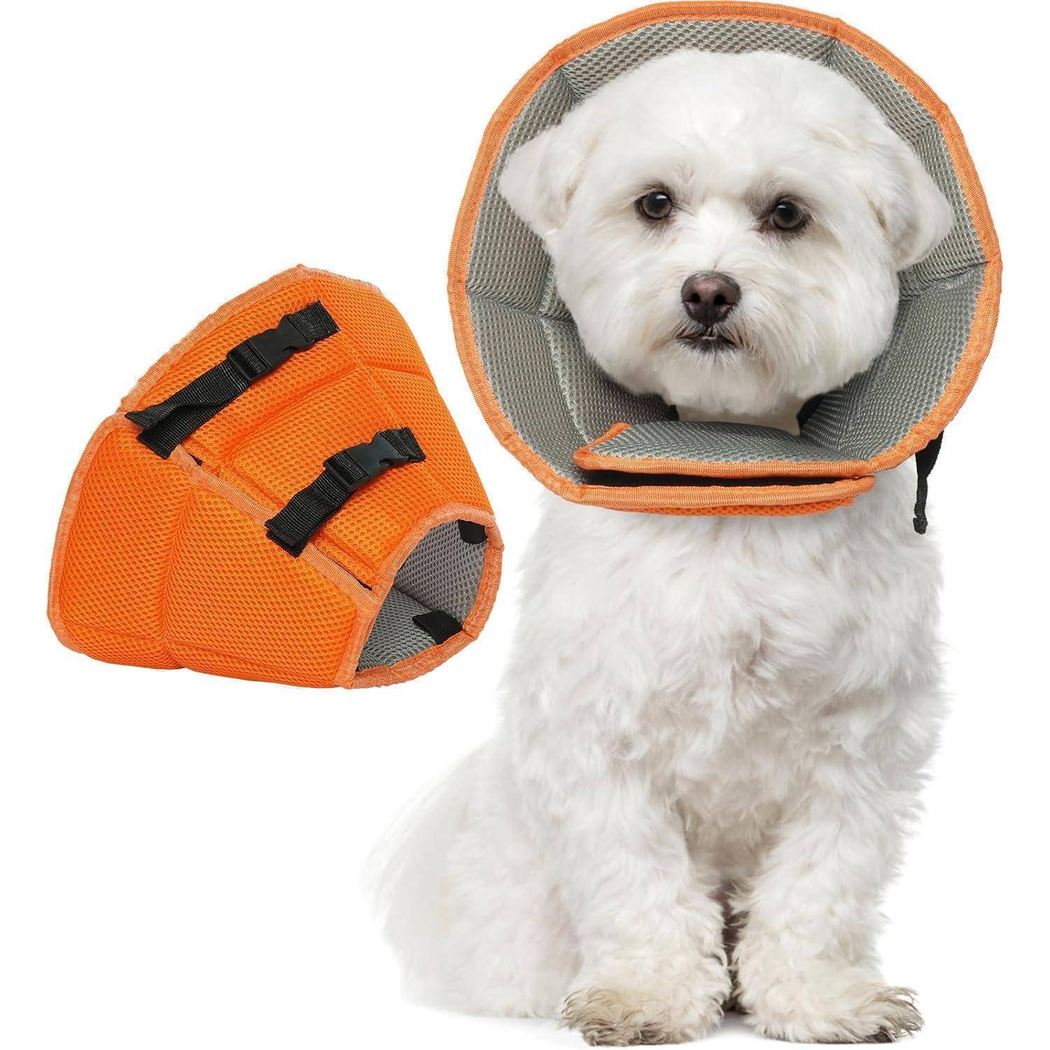 Ein kleiner weißer Hund trägt einen orangefarbenen Schutzkegel, der für die Genesung von Haustieren entwickelt wurde, und sitzt und blickt nach vorne. Der Kegel wird auch separat gezeigt.
