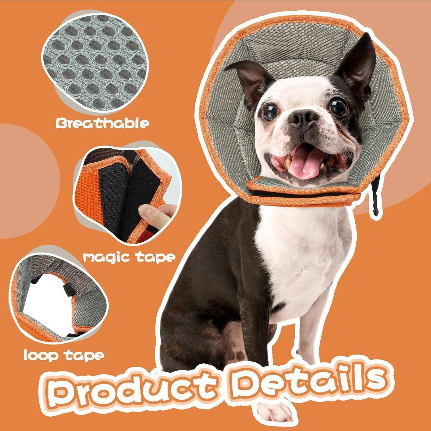 Boston Terrier mit einer atmungsaktiven Genesungskragen mit 'Magic-Tape' und 'Klettband'-Funktionen. Text: 'Produktdetails'.