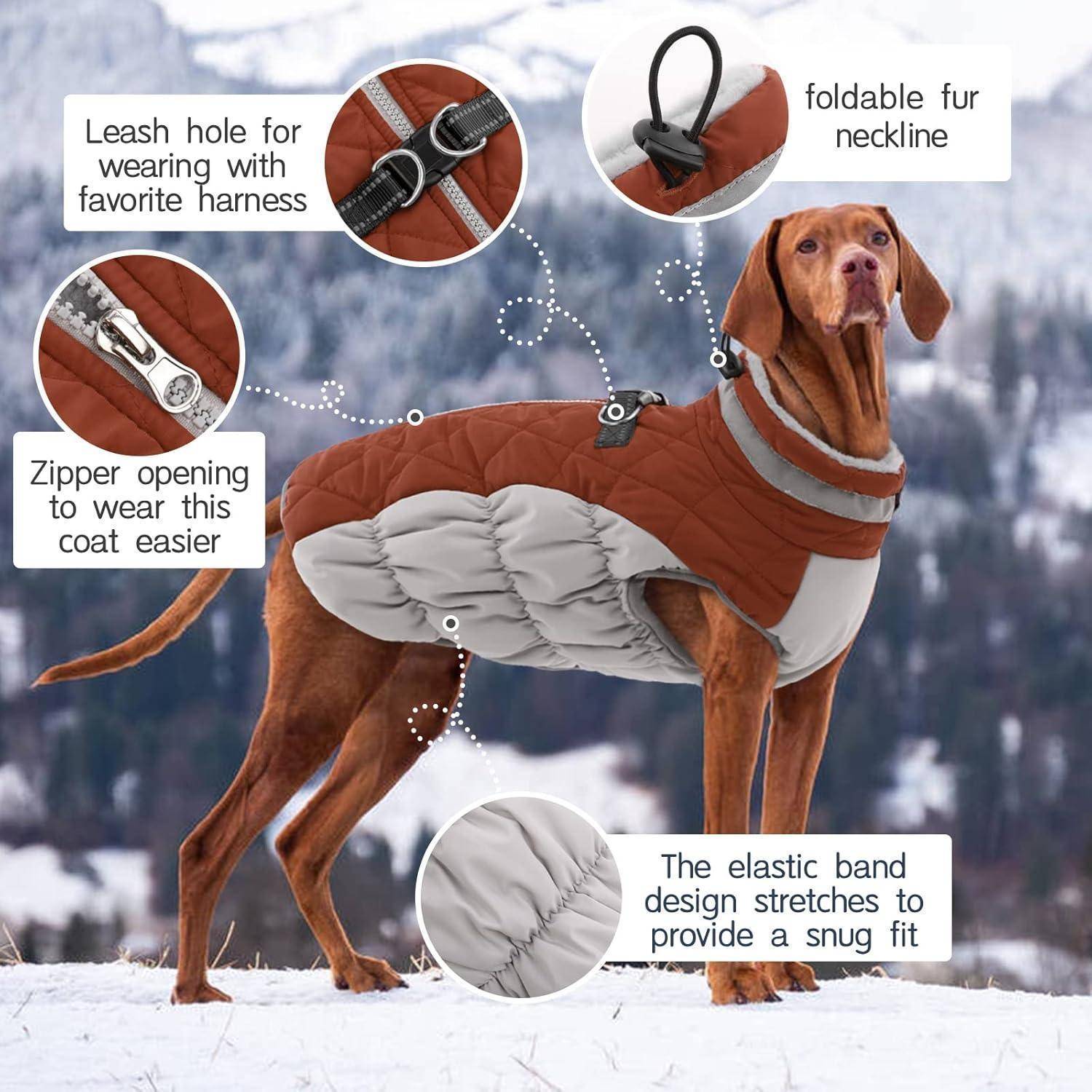 Ein Hund, der einen grauen und braunen Mantel trägt, mit Eigenschaften wie einer Leinenloch-Öffnung, einem faltbaren Pelzkragen, einem Reißverschluss und einem elastischen Band für eine enge Passform. Verschneite Landschaft im Hintergrund.