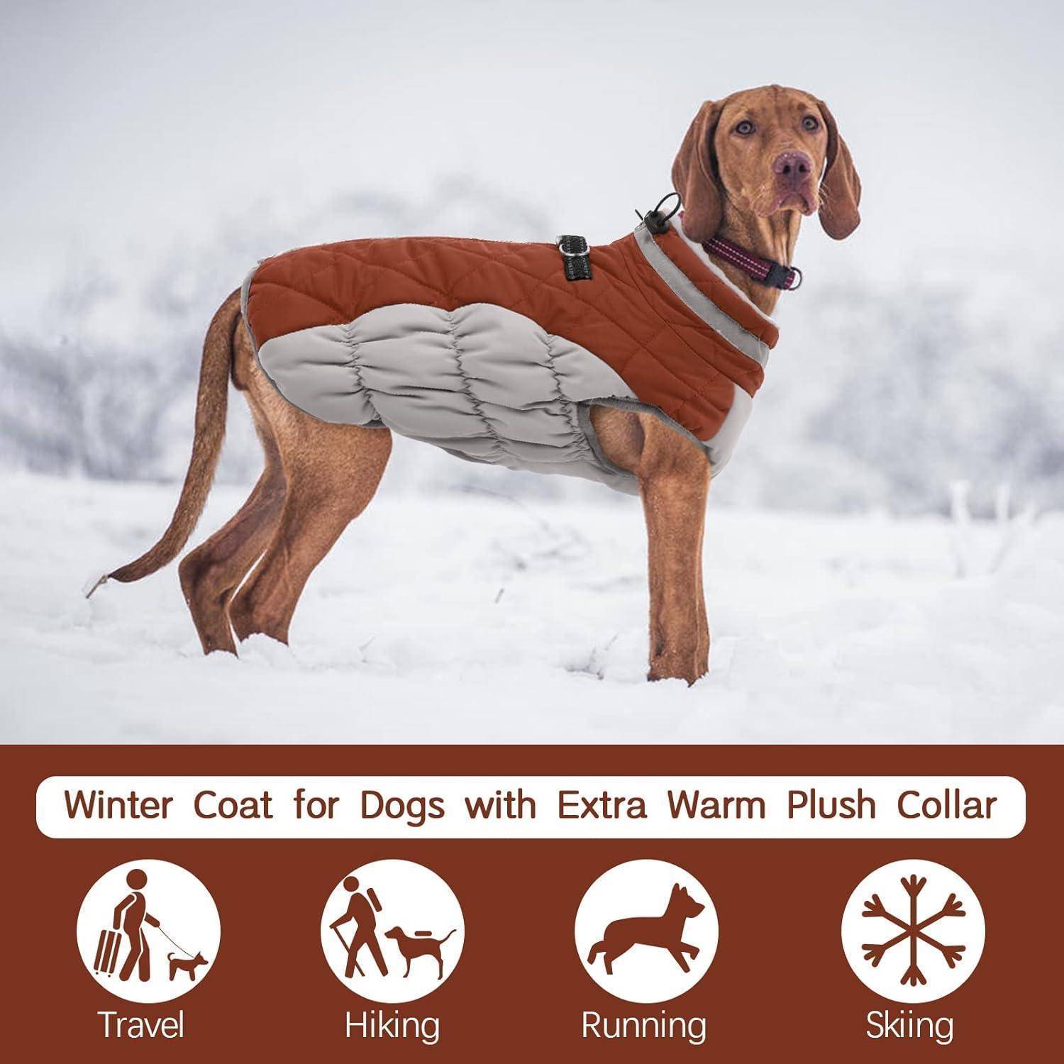 Ein brauner Hund mit einem Wintermantel steht auf einem verschneiten Feld. Text darunter: 'Wintermantel für Hunde mit extra warmem Plüschkragen.' Symbole zeigen Verwendungsmöglichkeiten: Reisen, Wandern, Laufen, Skifahren.