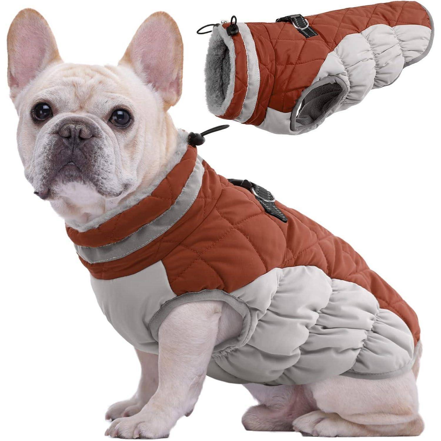 Ein kleiner Hund mit einer rot-grauen Steppjacke, der sitzt und nach vorne blickt. Eine Detailaufnahme der Jacke ist darüber zu sehen.