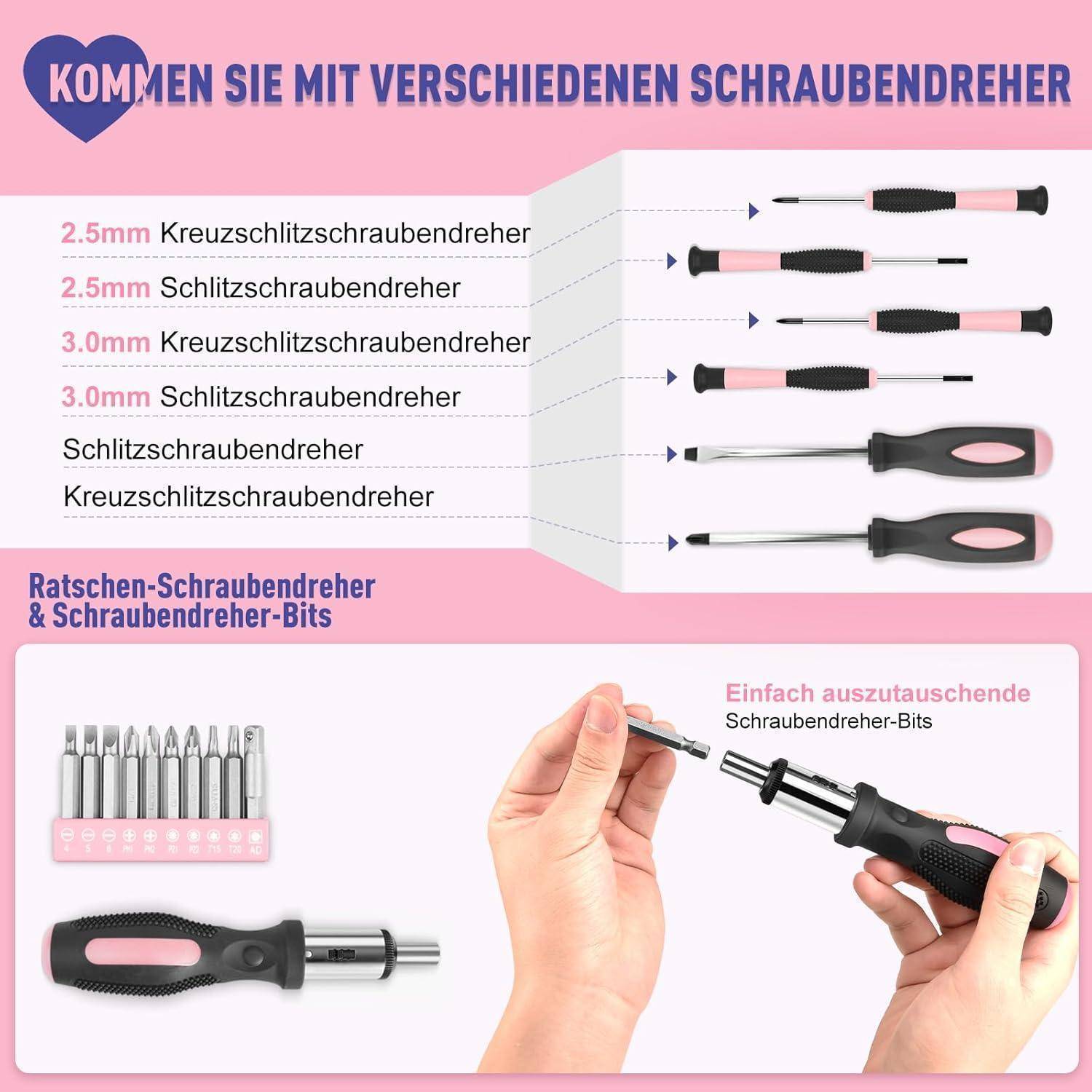 Kommen Sie mit verschiedenen Schraubendreher' Überschrift. Drei Schraubendrehertypen mit Beschriftungen dargestellt. Unteres Einschub zeigt auswechselbare Schraubendreher-Bits.