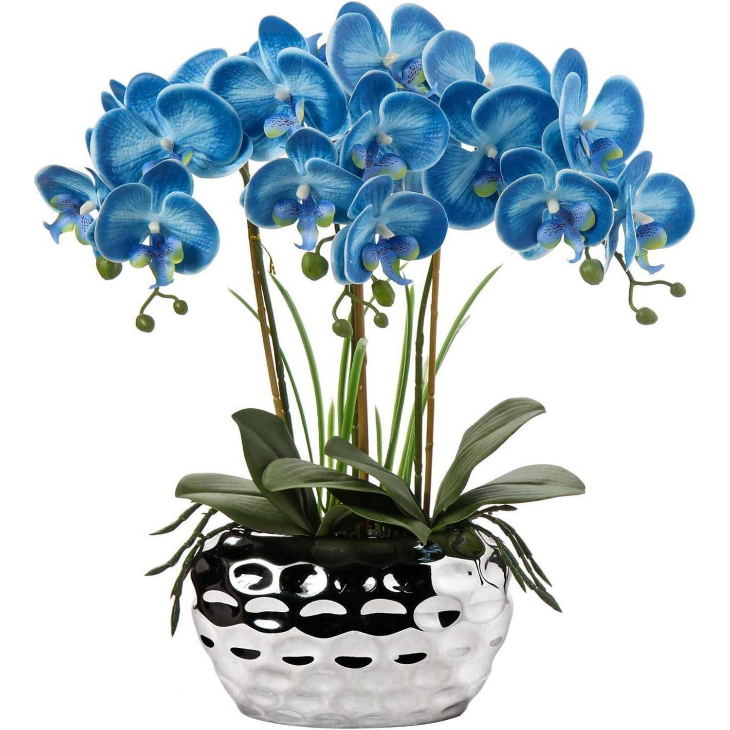 Blaue Orchideen in einer gemusterten schwarz-weißen Vase, mit eleganten, geschwungenen Stängeln und üppigen grünen Blättern.